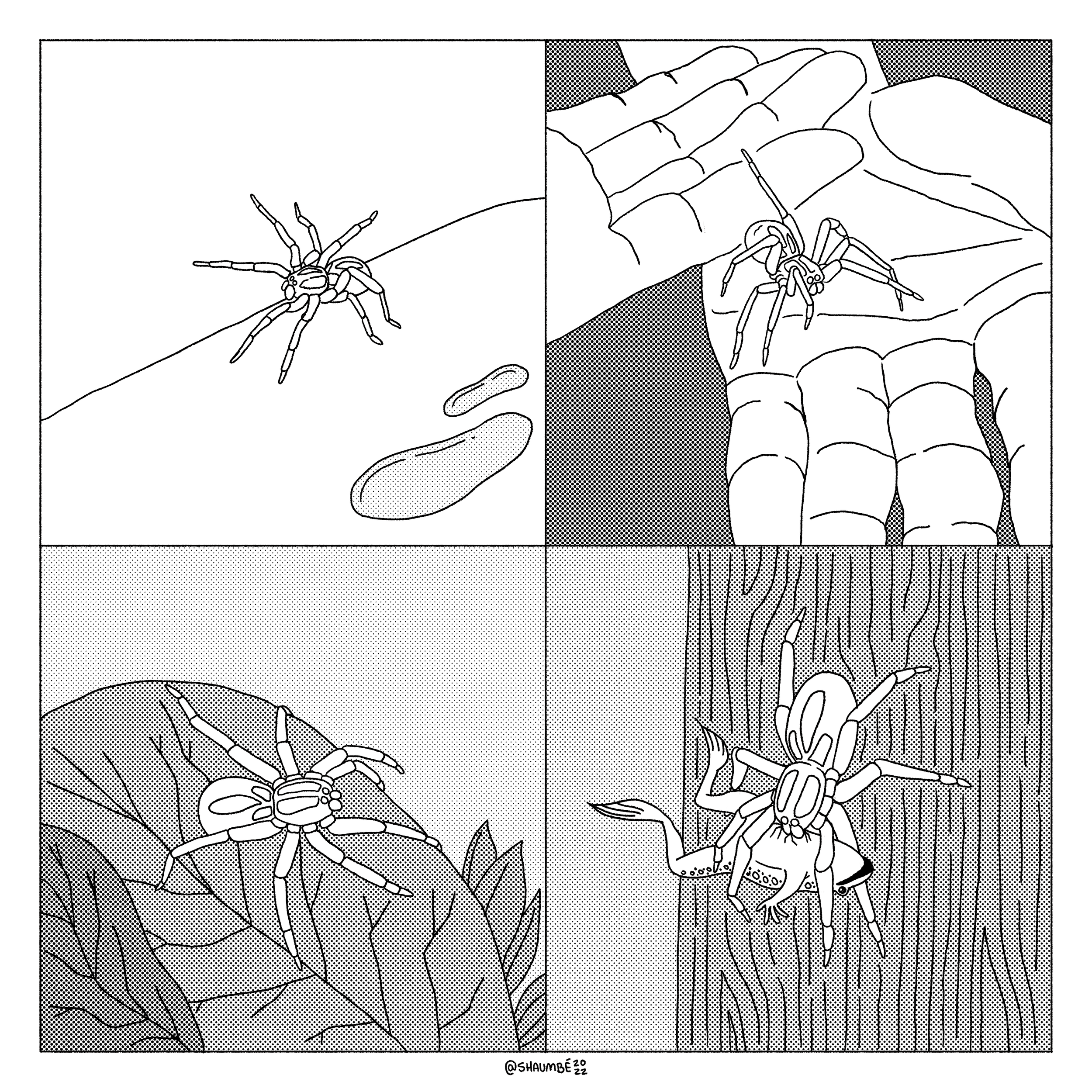 intervention.png