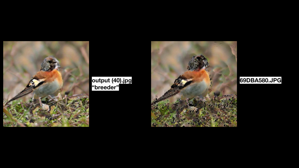 new forms project 1.png