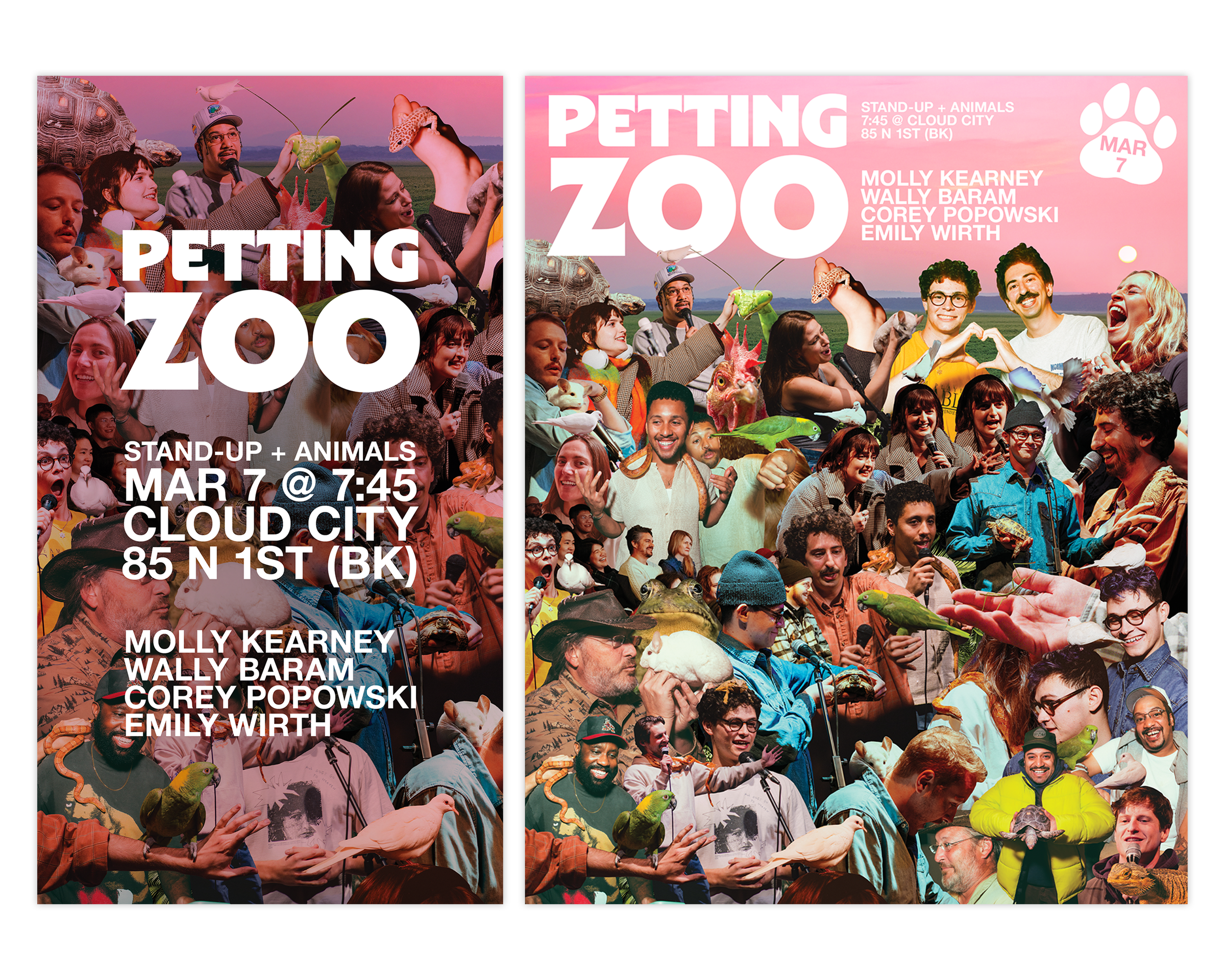 portfolio comp 1.png