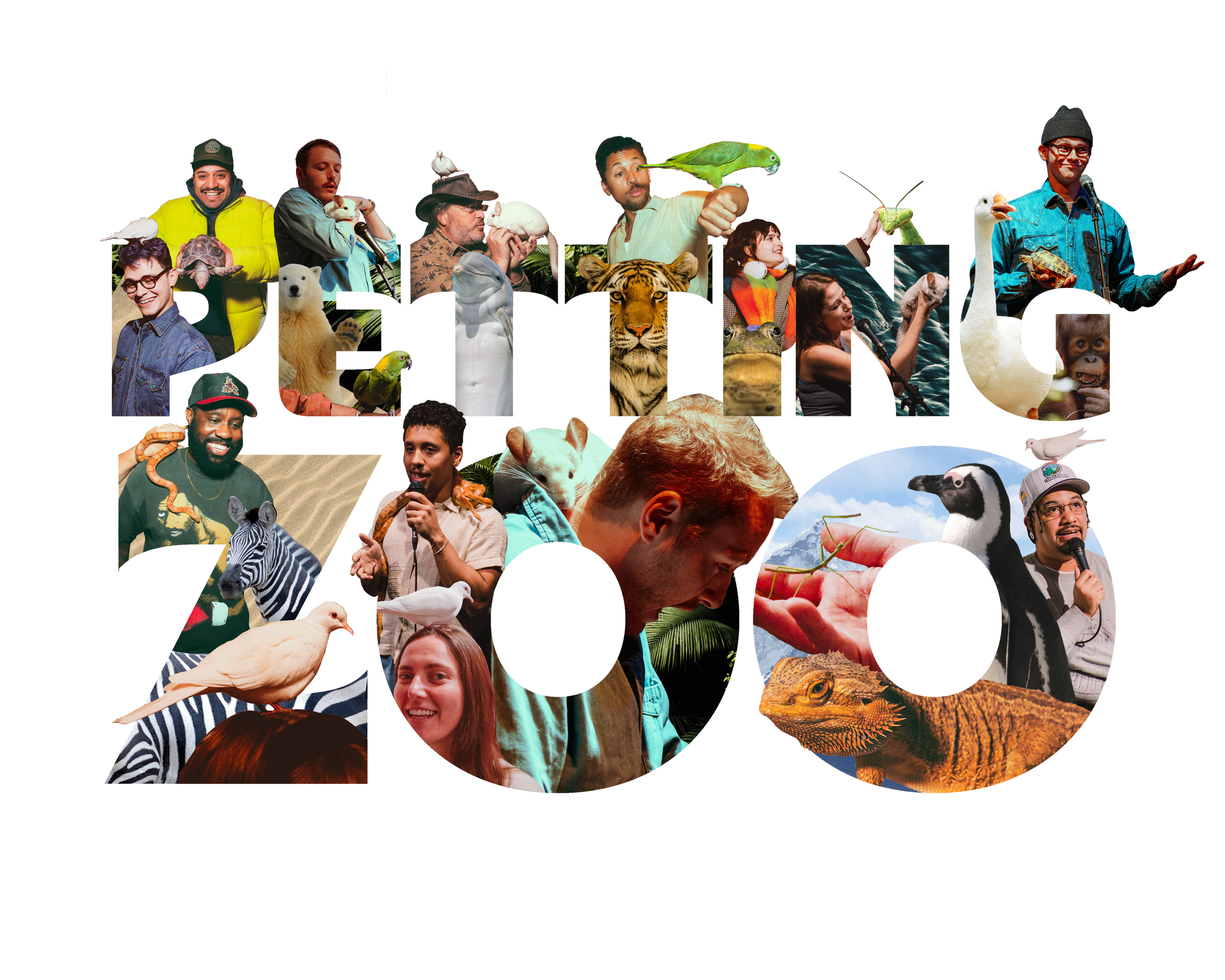 portfolio comp 2.png