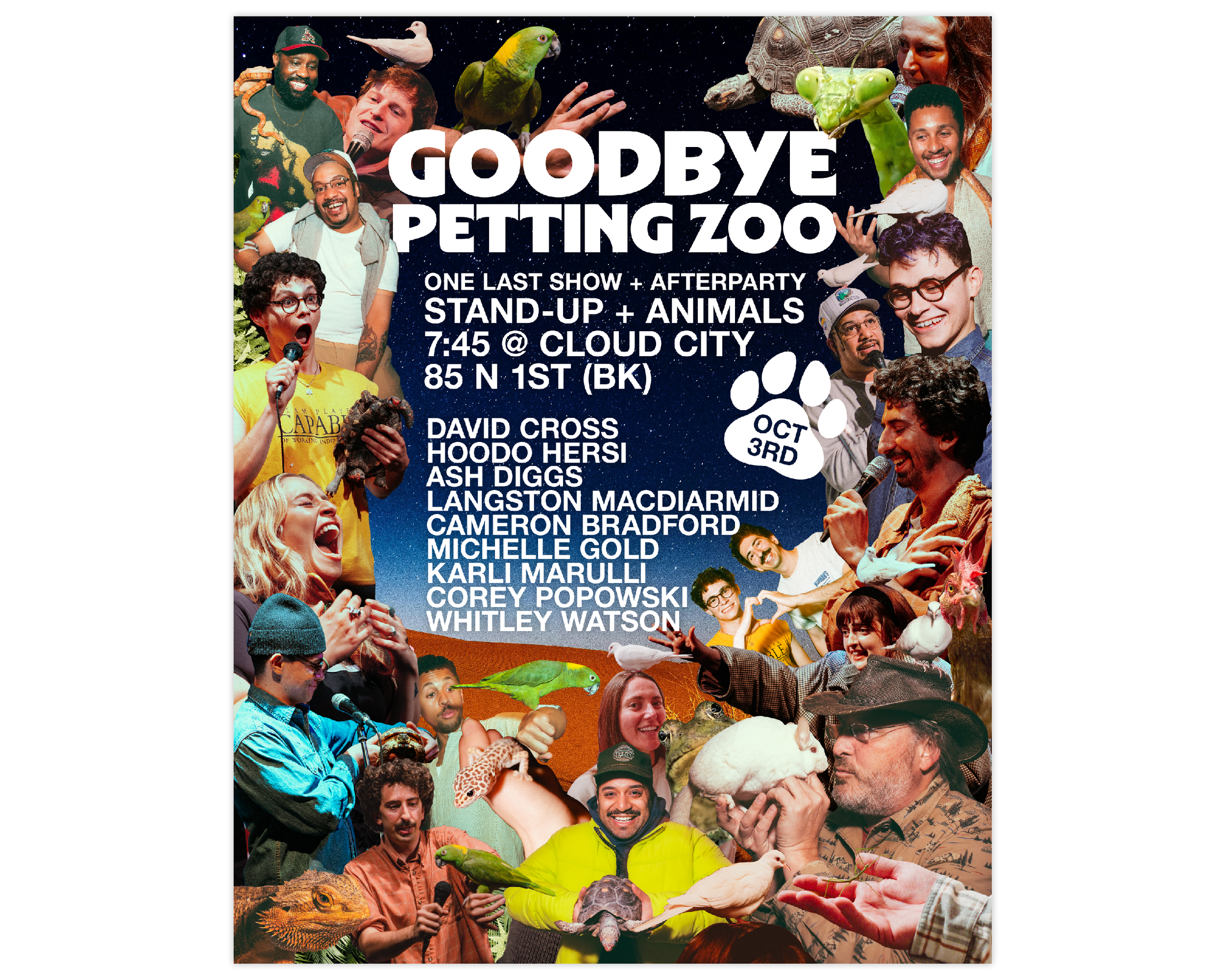 portfolio comp 3.png