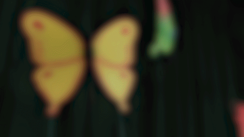 butterflypavilliontitlepre-vis1-ezgif.com-video-to-gif-converter.gif