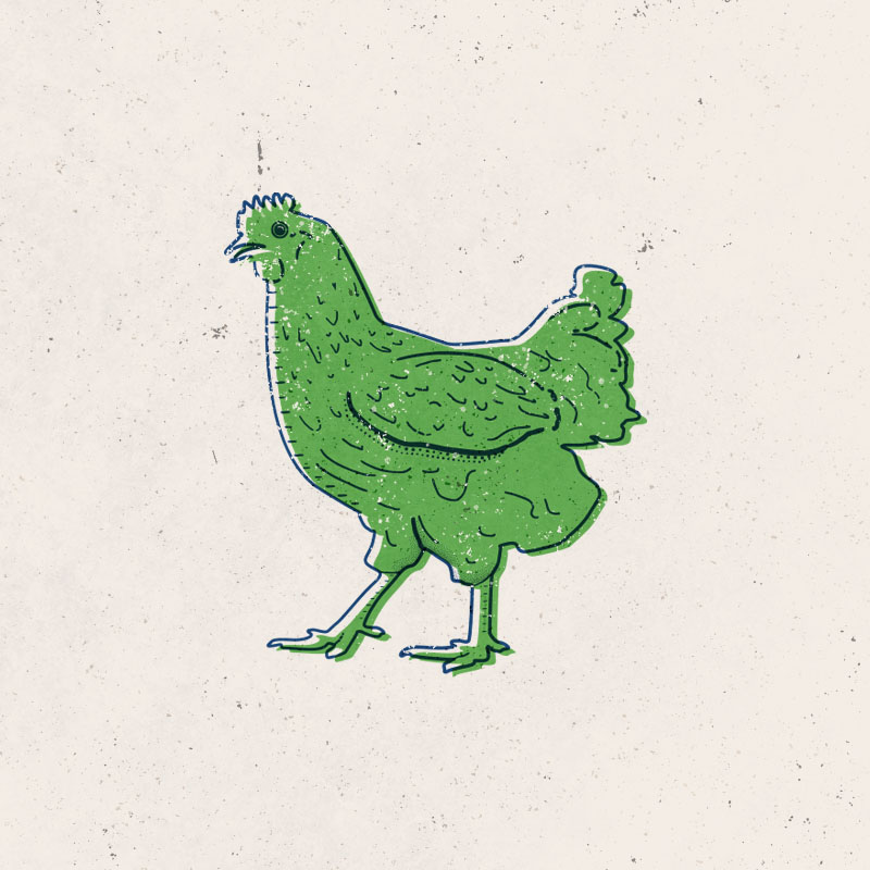 Chicken2Artboard 1.jpg