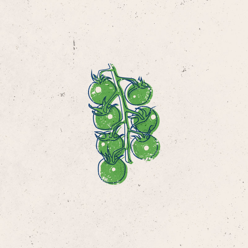 Tomatoes2Artboard 1.jpg