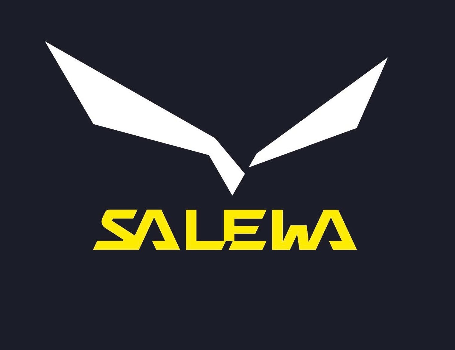 SALEWA_logo.jpg