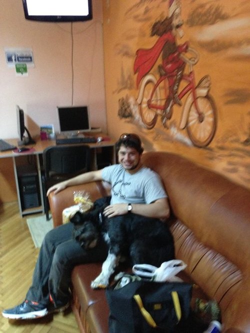 Hostel Dog!