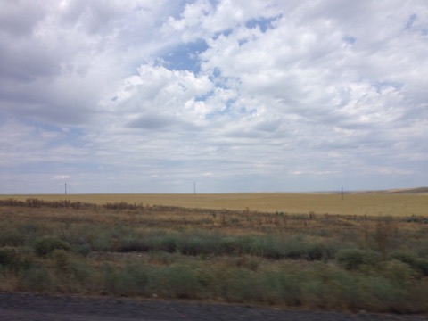 The steppe