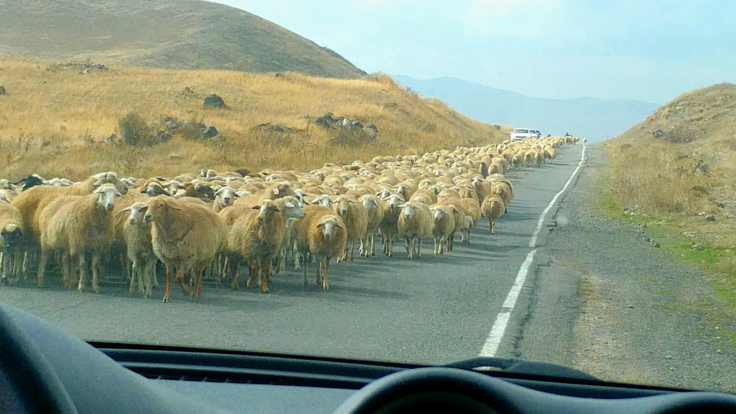Traffic