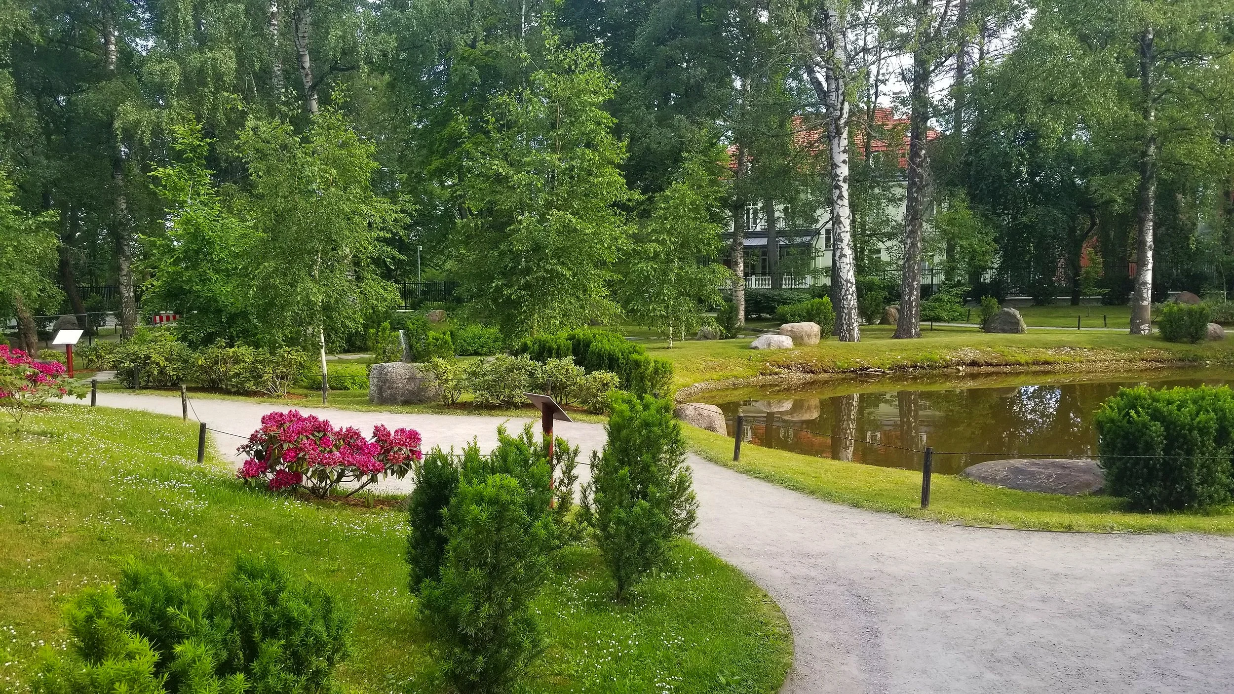 20190620_074705.jpg