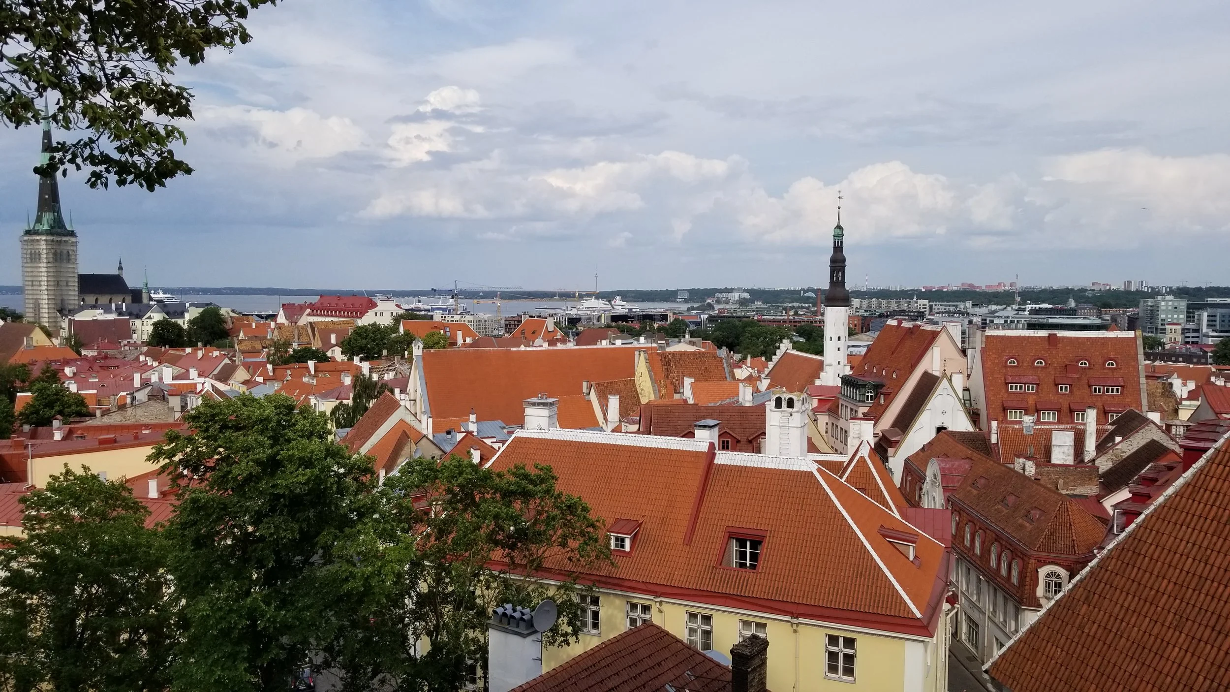 20190620_172827.jpg