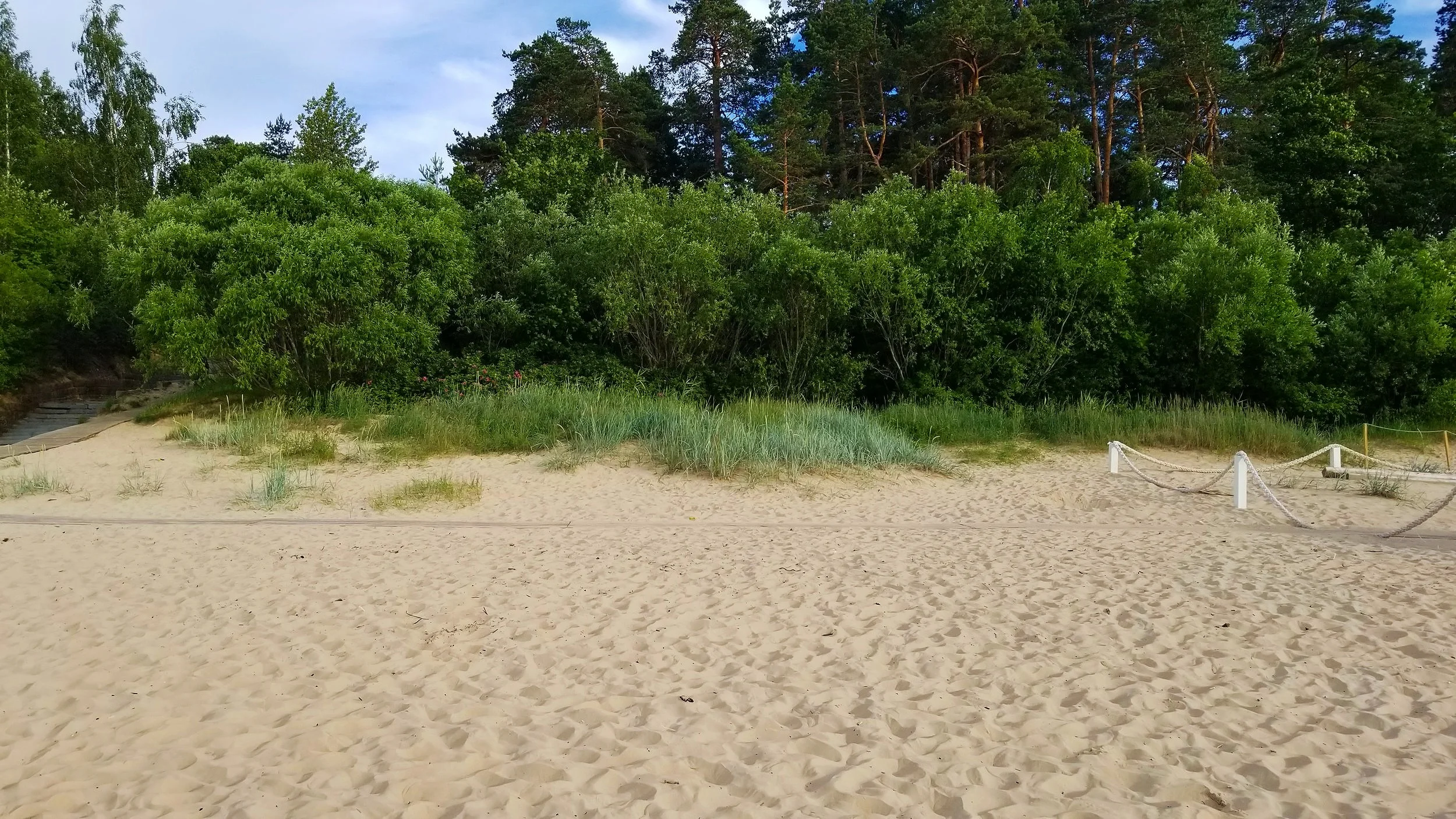 20190624_193018.jpg