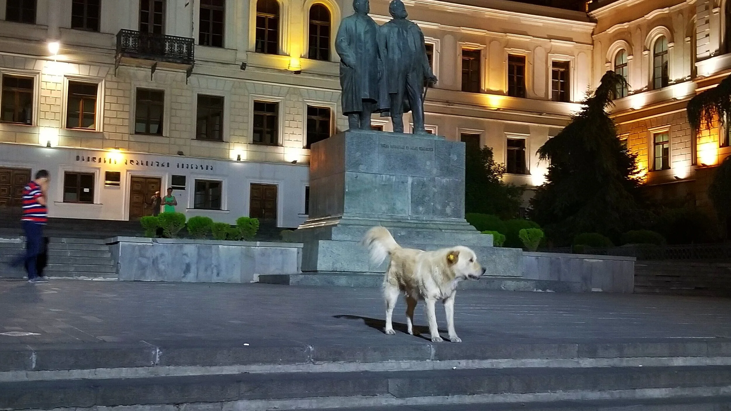 20190904_203648.jpg