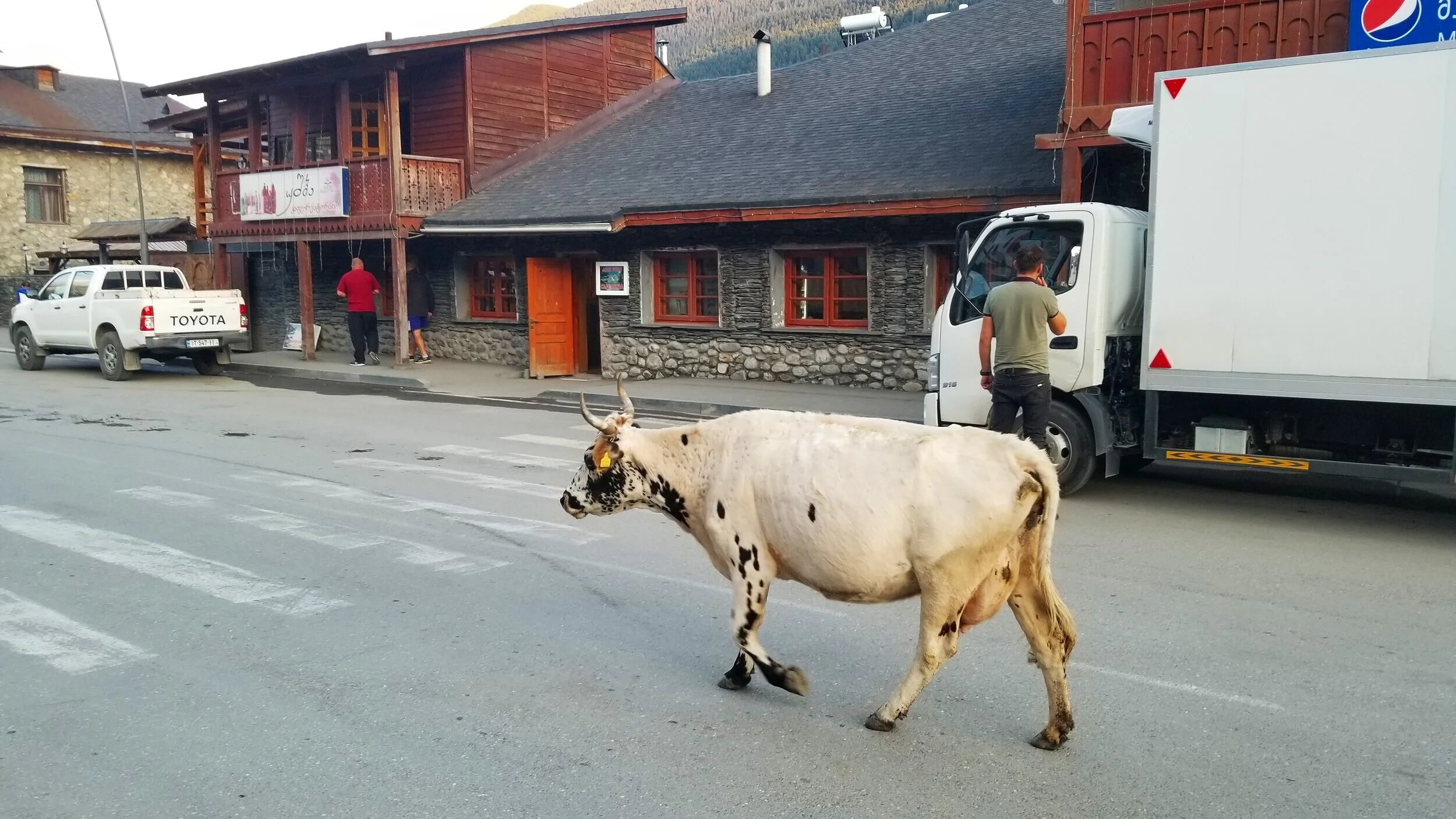 First evening in Mestia