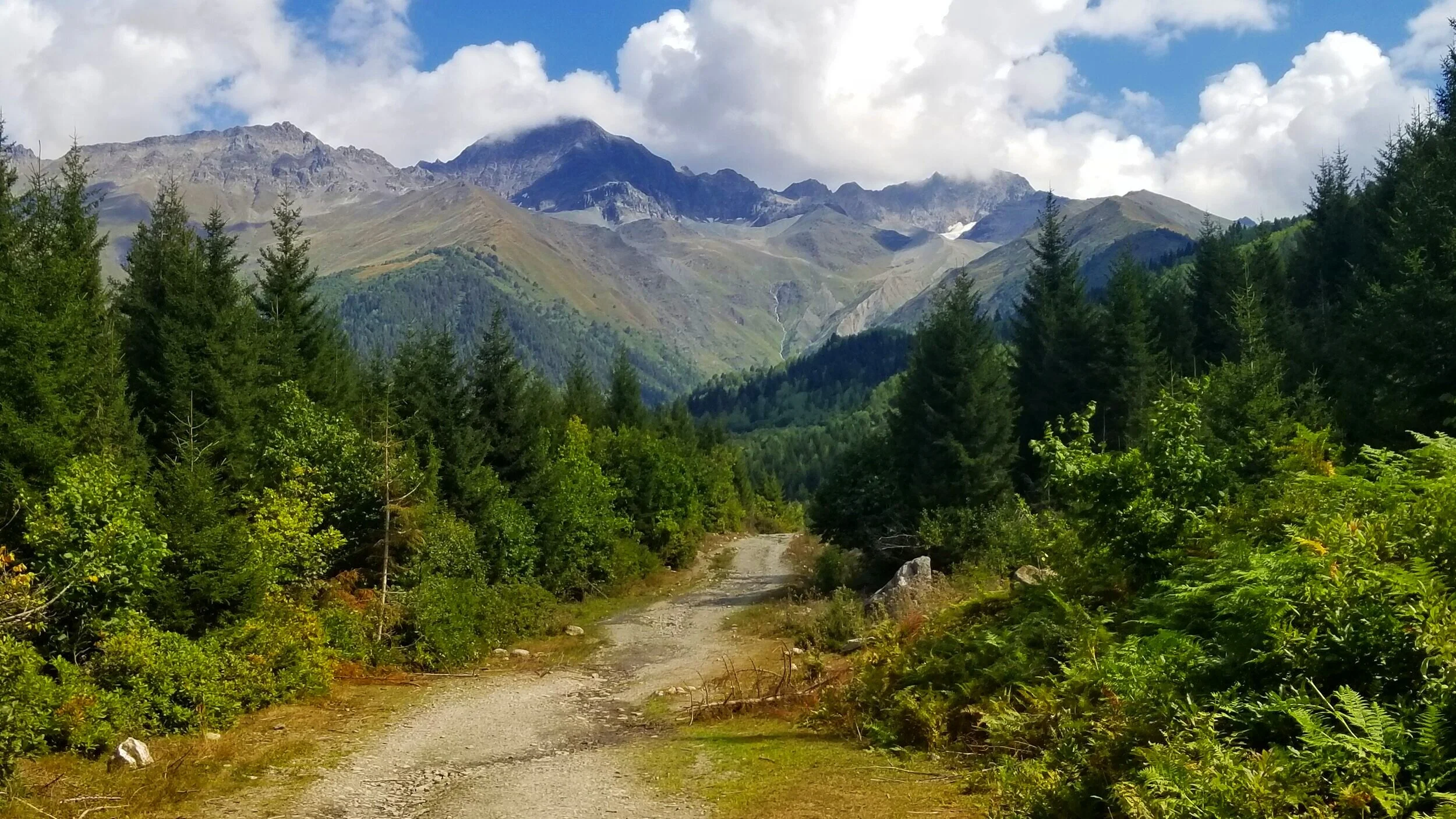 Start of the trek