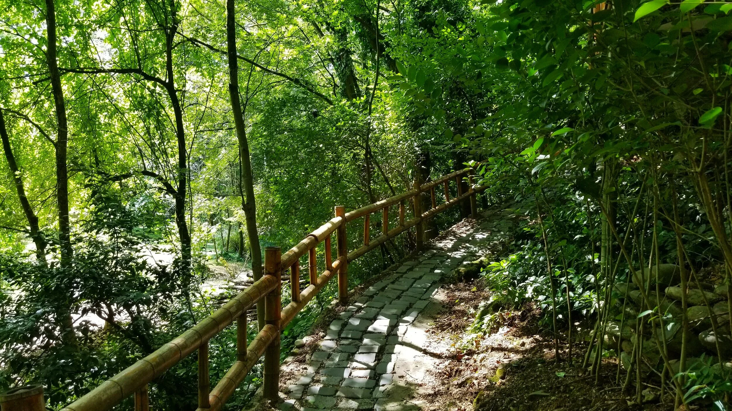Botanical garden
