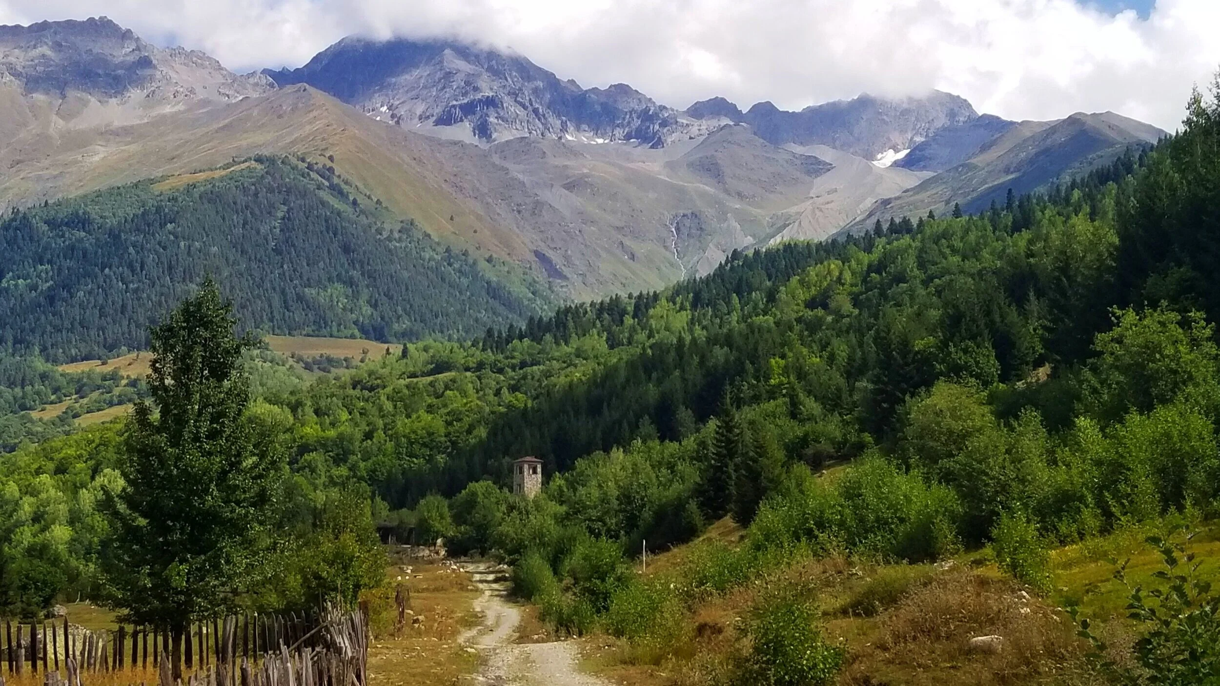20190906_114011.jpg