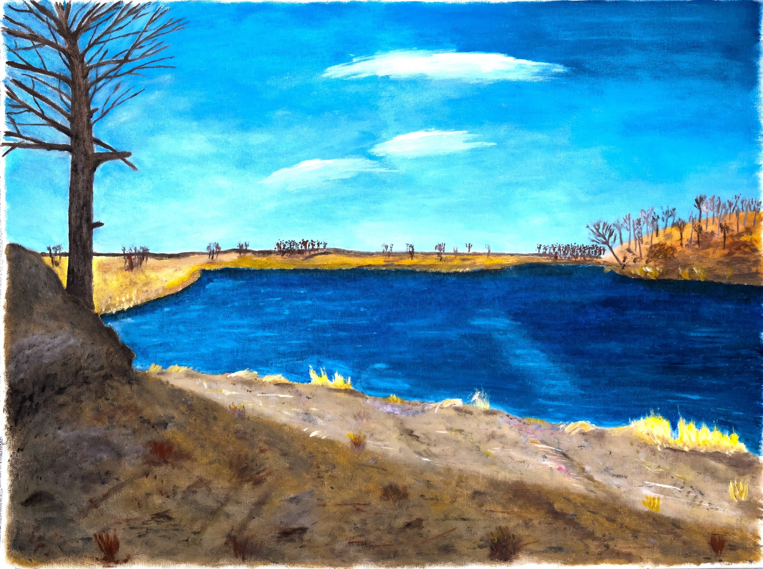 winter shore.jpg