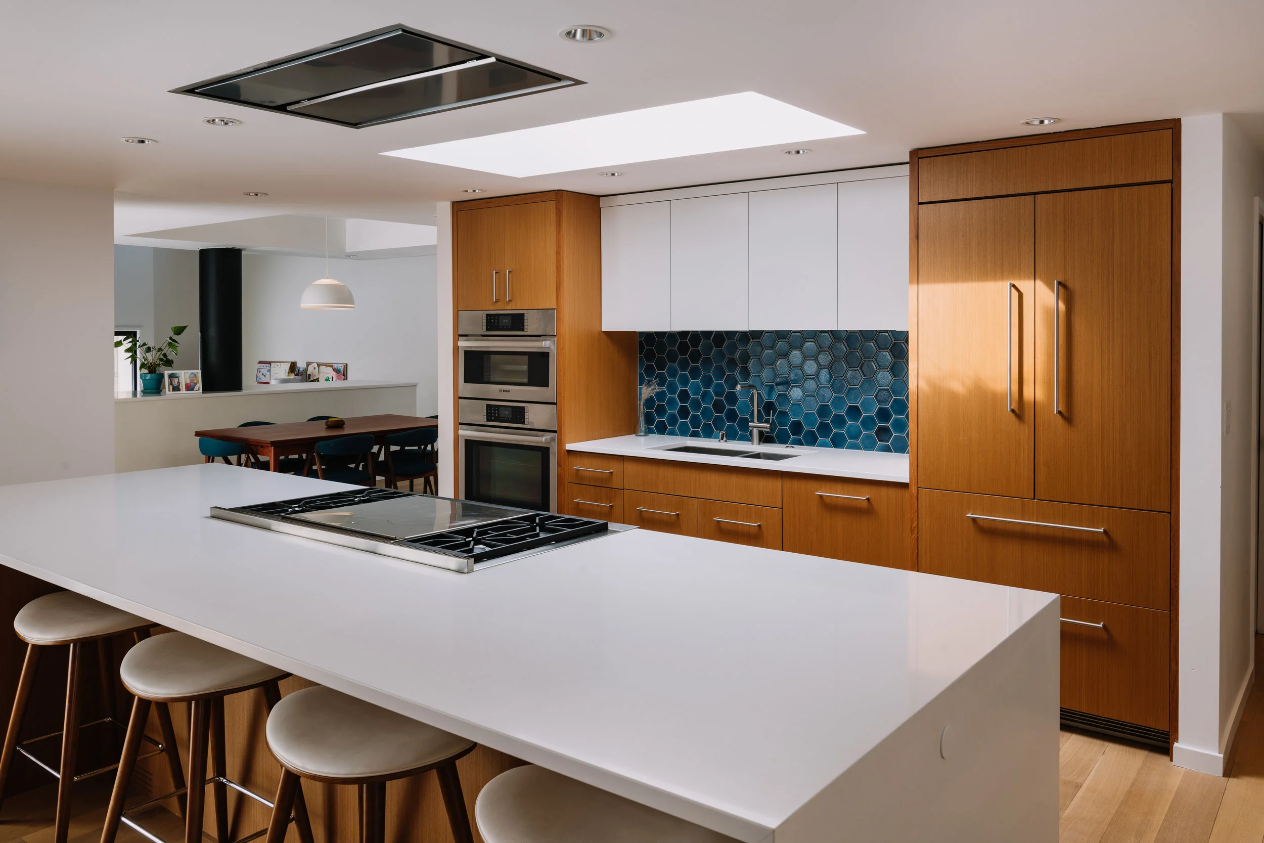 4GadwallLn-7.jpg