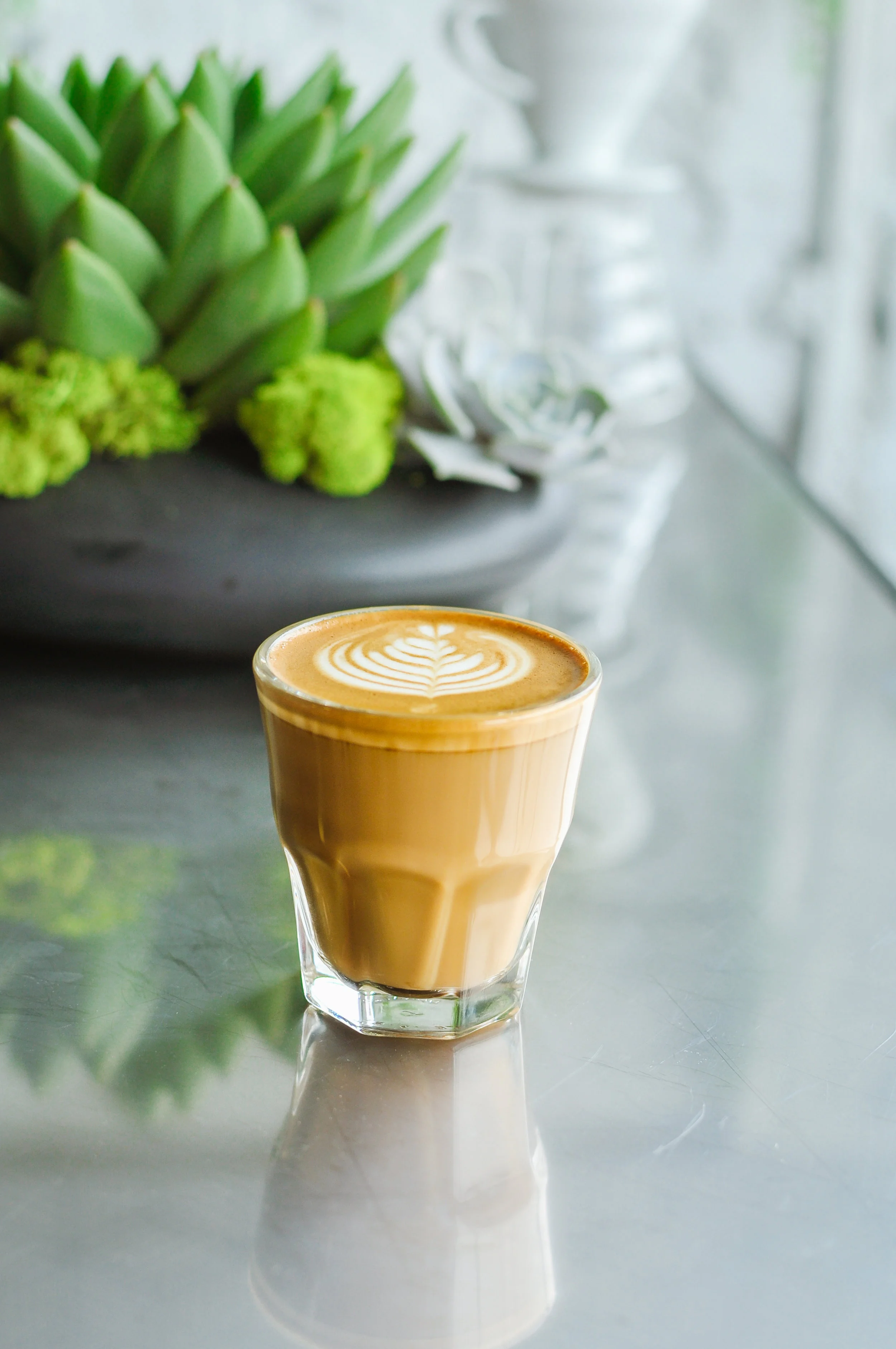 Passion House Coffee Roasters Cafe Grand Opening