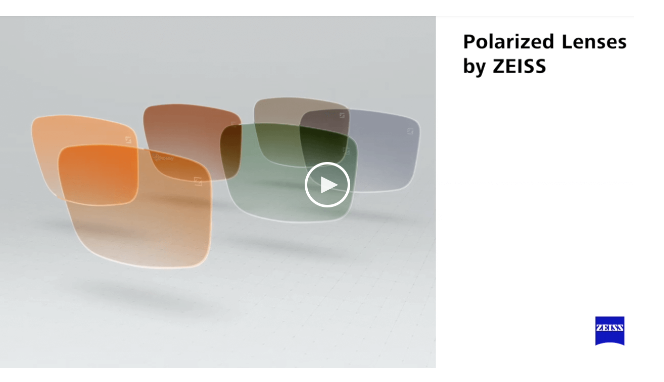 Lenti Polarizzate — Ottico Bertella
