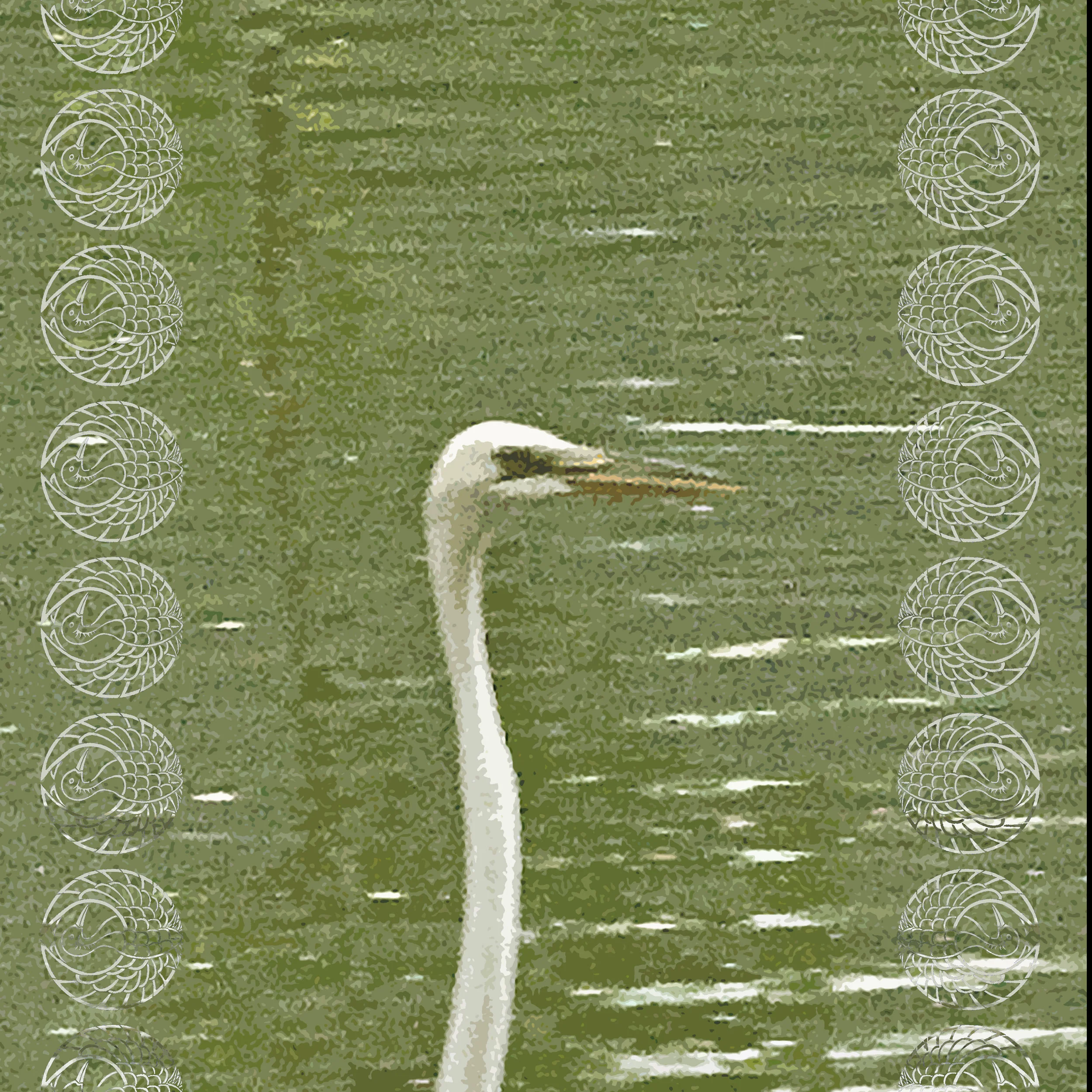 Heron 2.jpg