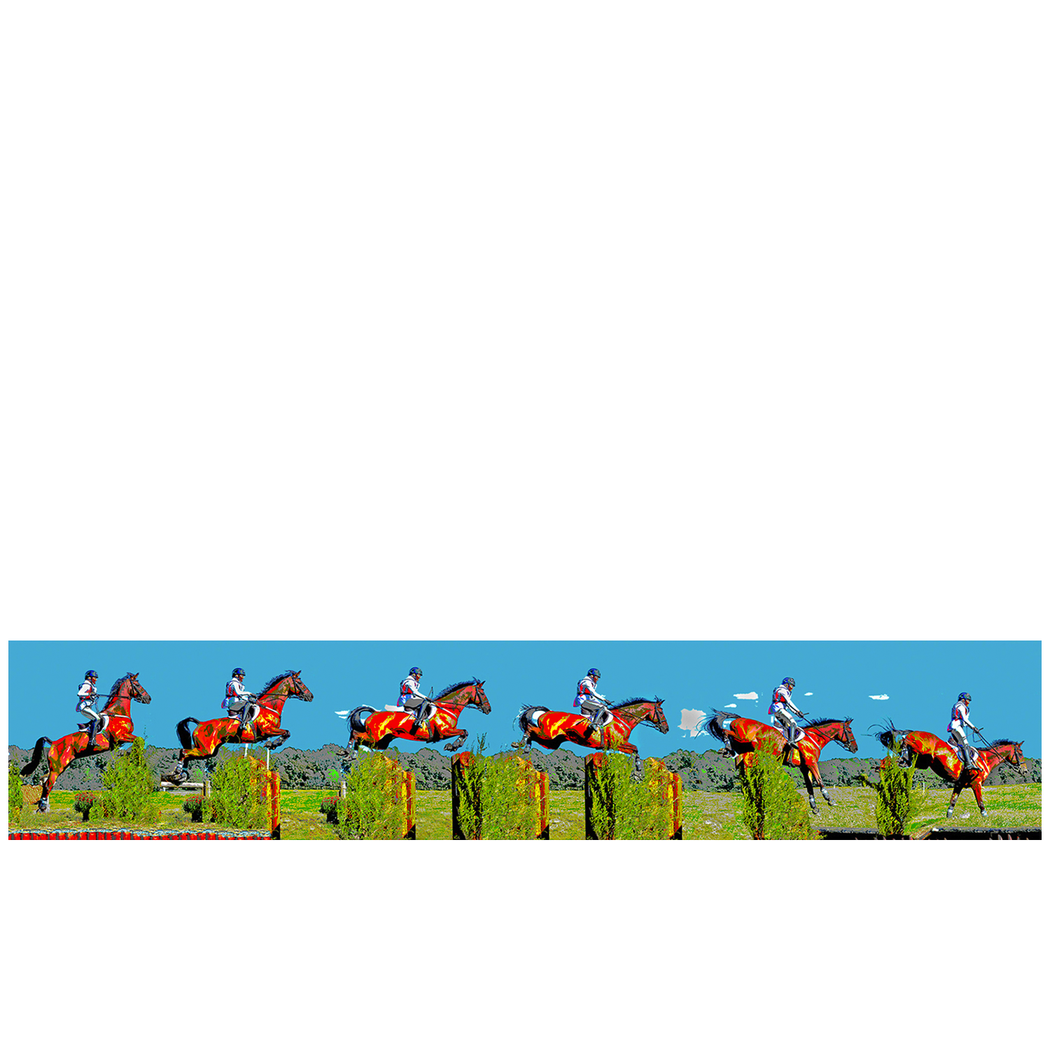 trakehner on transparent background.png