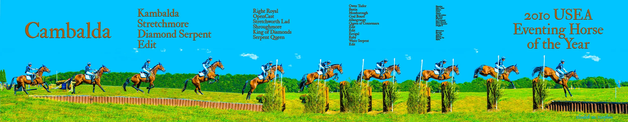 10 inch Cambalda final copy.jpg