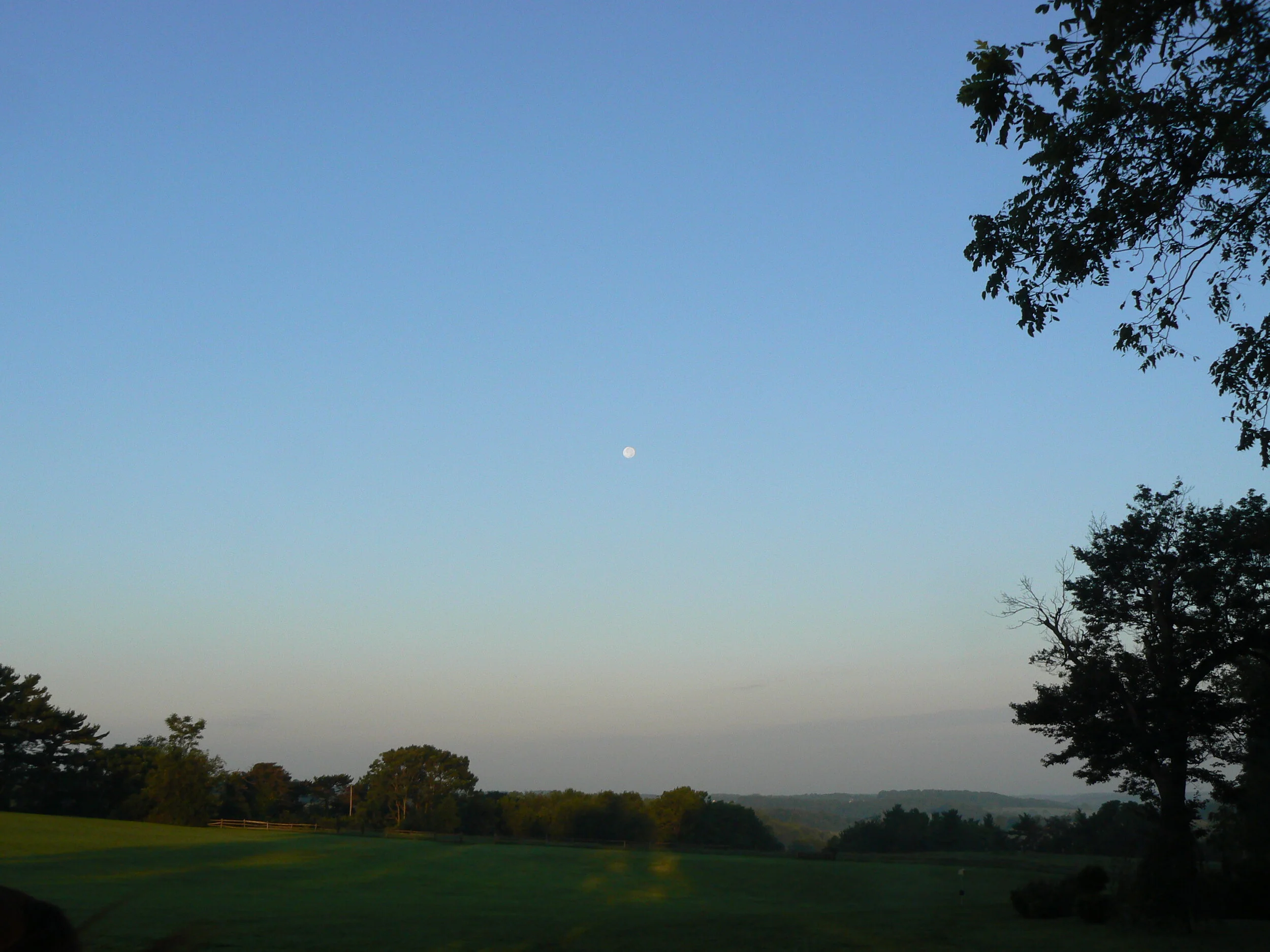 306-8-26-2010 Houndwalk - 002.jpg