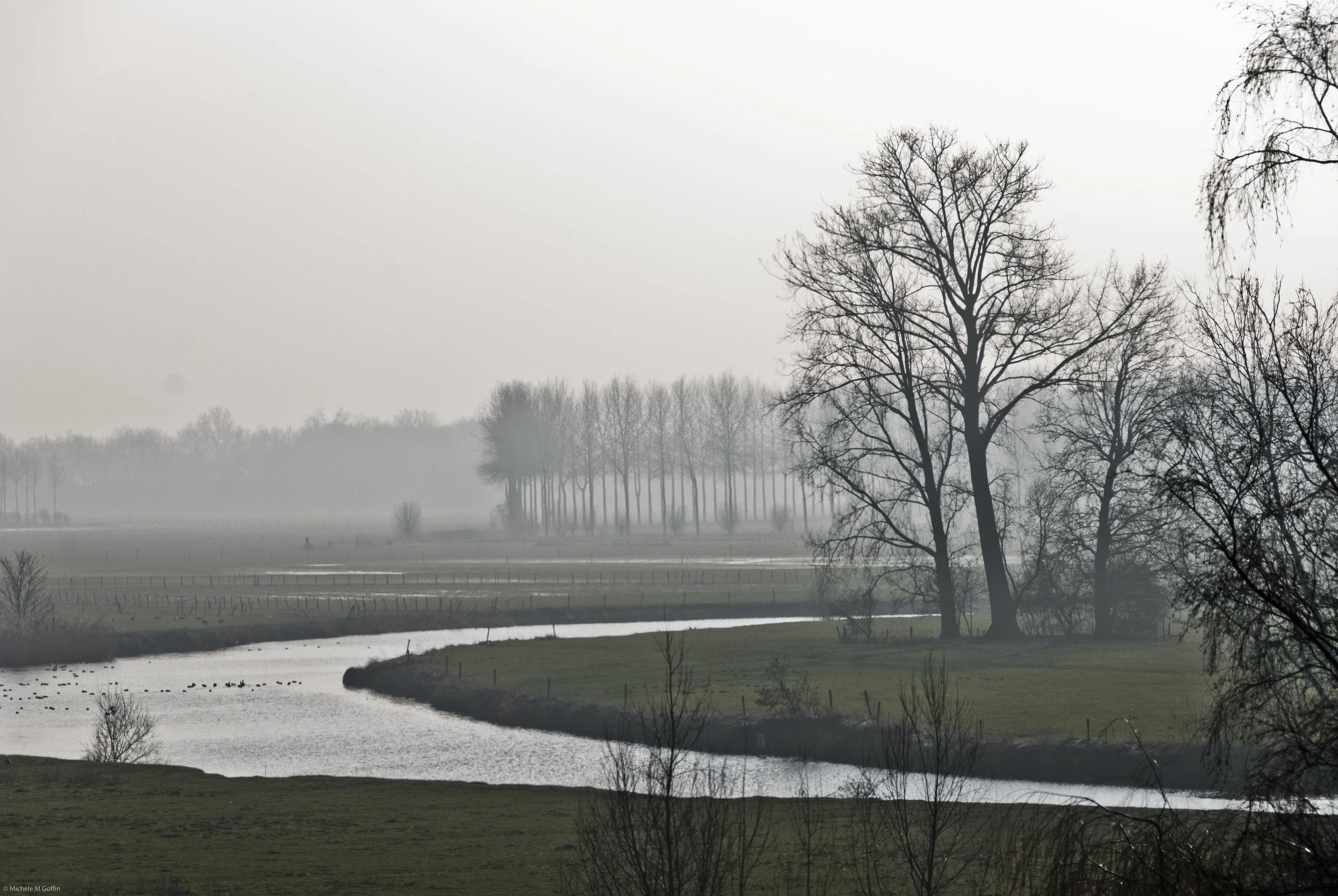 Misty river