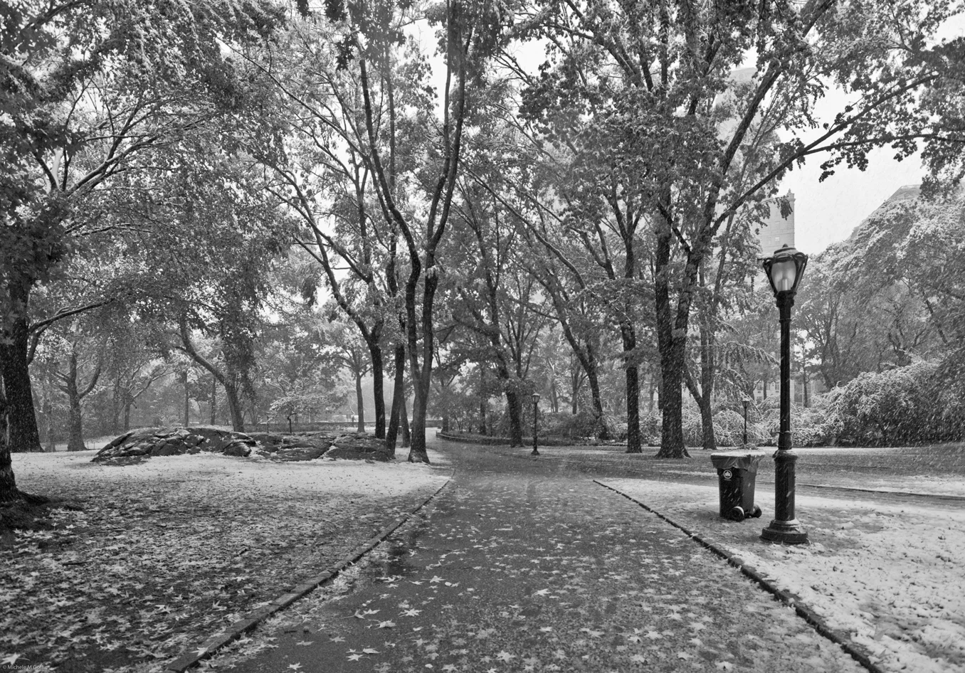 NYC Early Snow 1