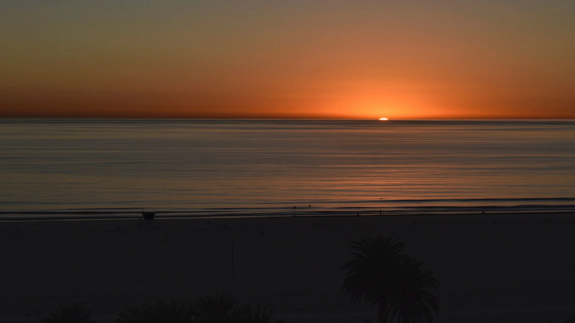 Sunset swim with palms (look in shadow)