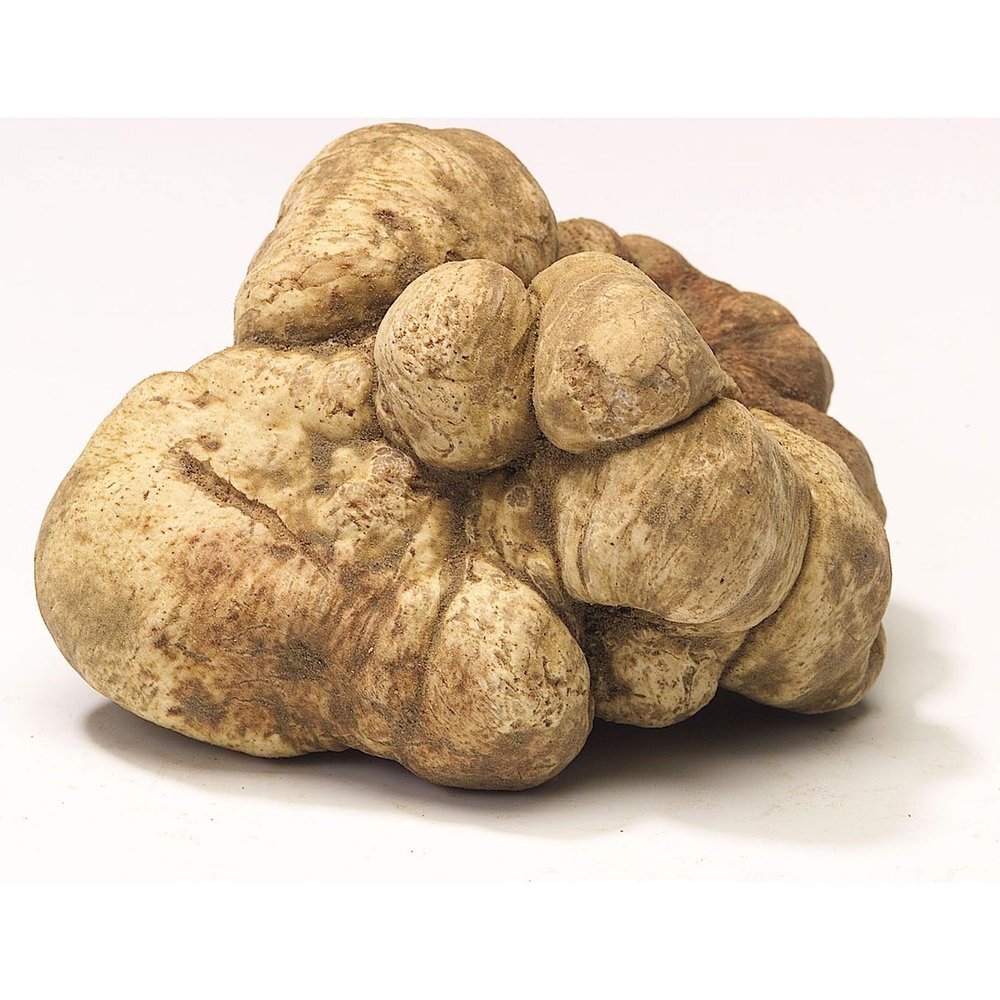 white-alba-truffles-tuber-magnatum-pico.jpg