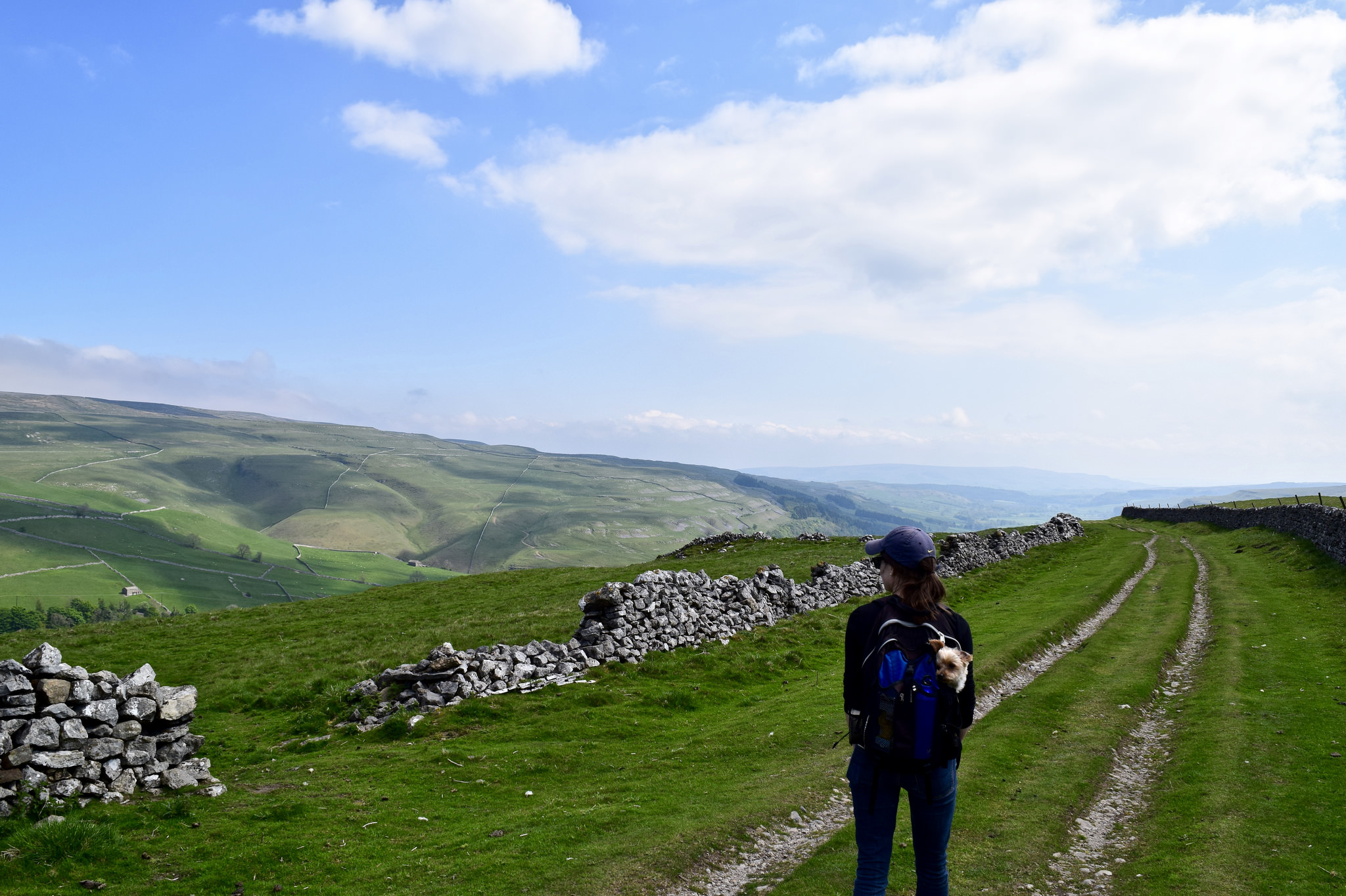 Walking the Dales
