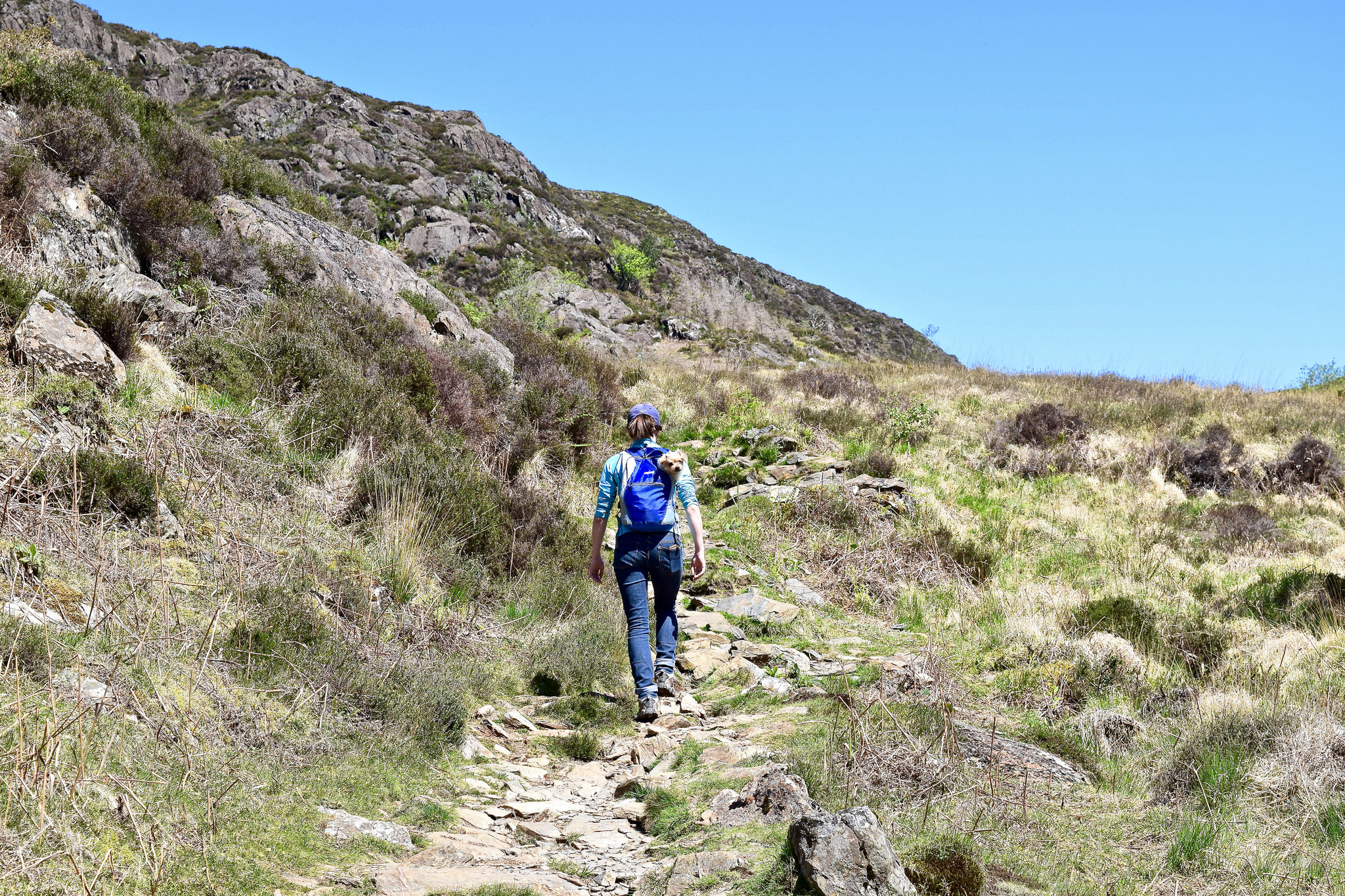 Hiking in Snowdonia