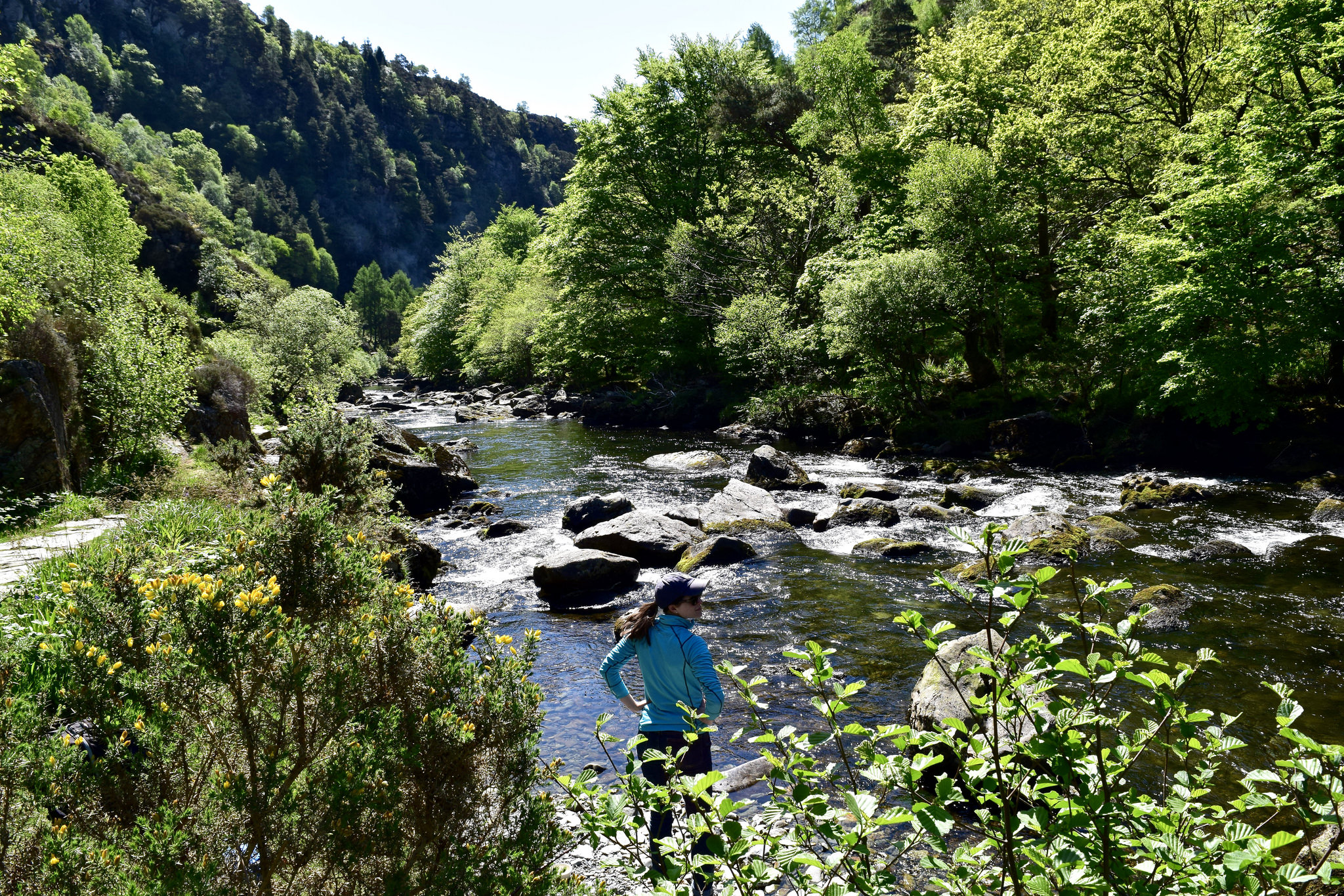 Enjoying the River