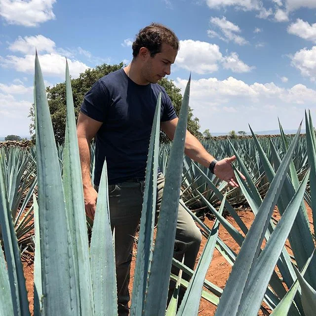 Our Maestro Tequilero Guillermo Barroso supervising the agave fields in the highlands of Jalisco.
#microbatch #luxuryspirits #elpintor .
.
#tequila #mezcal #tequilajoven #foodie #mixology #crafttequila #craftspirits #luxurylifestyle #salud #foodie