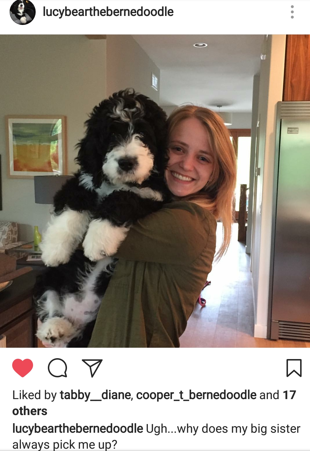 Lucy formerly Tanisha residing in Iowa. You can follow her on Instagram @ Lucybearthebernedoodle