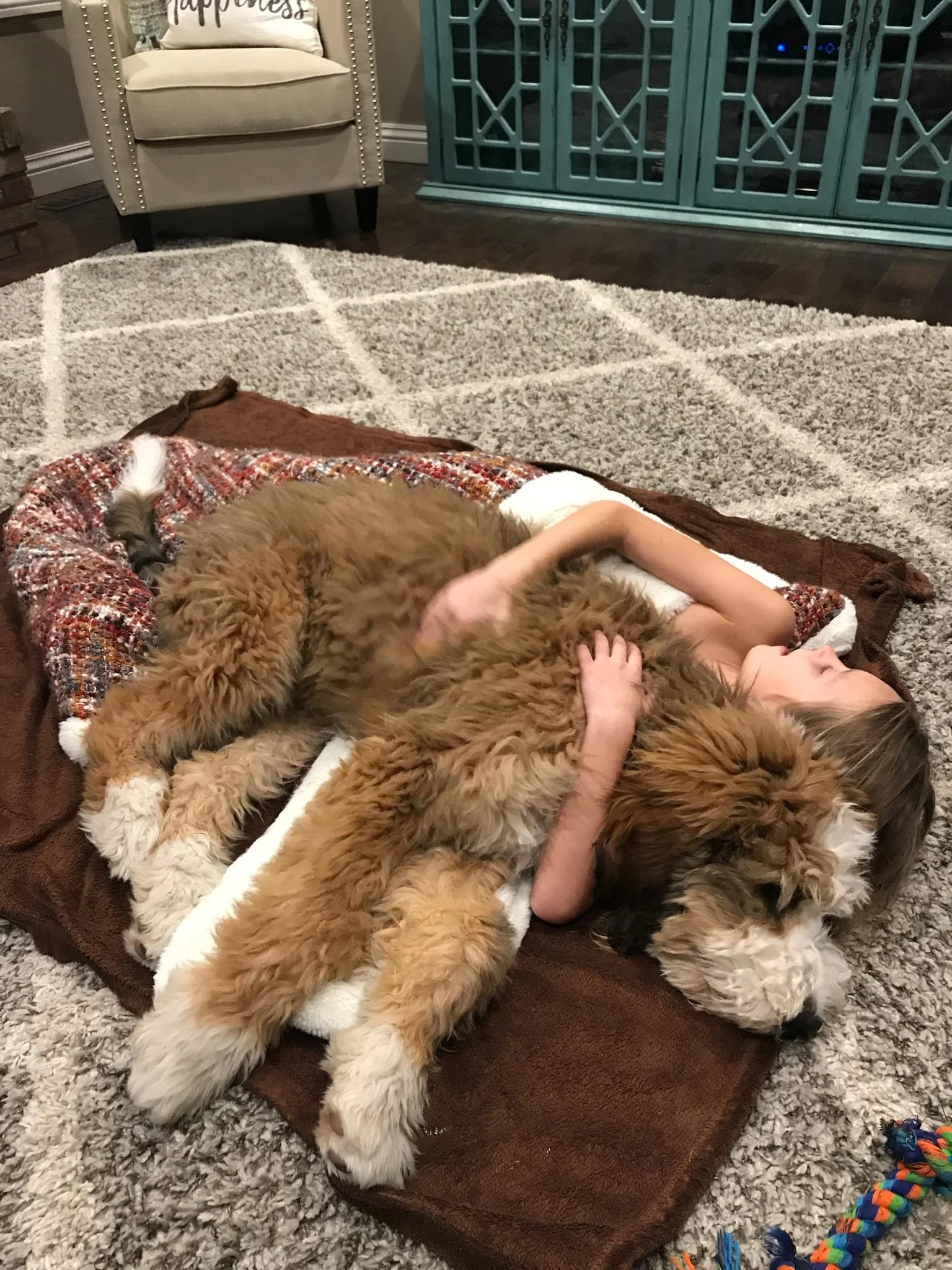 Docs parent are Angel and Carson. Doc the 85# lap dog that loves to cuddle (He is practically famous in our town) Everyone loves him and wants one.He is a GREAT Dog. Super smart and the very best personality! Friendliest Dog and so Chill. Mark& Michelle Mckinney