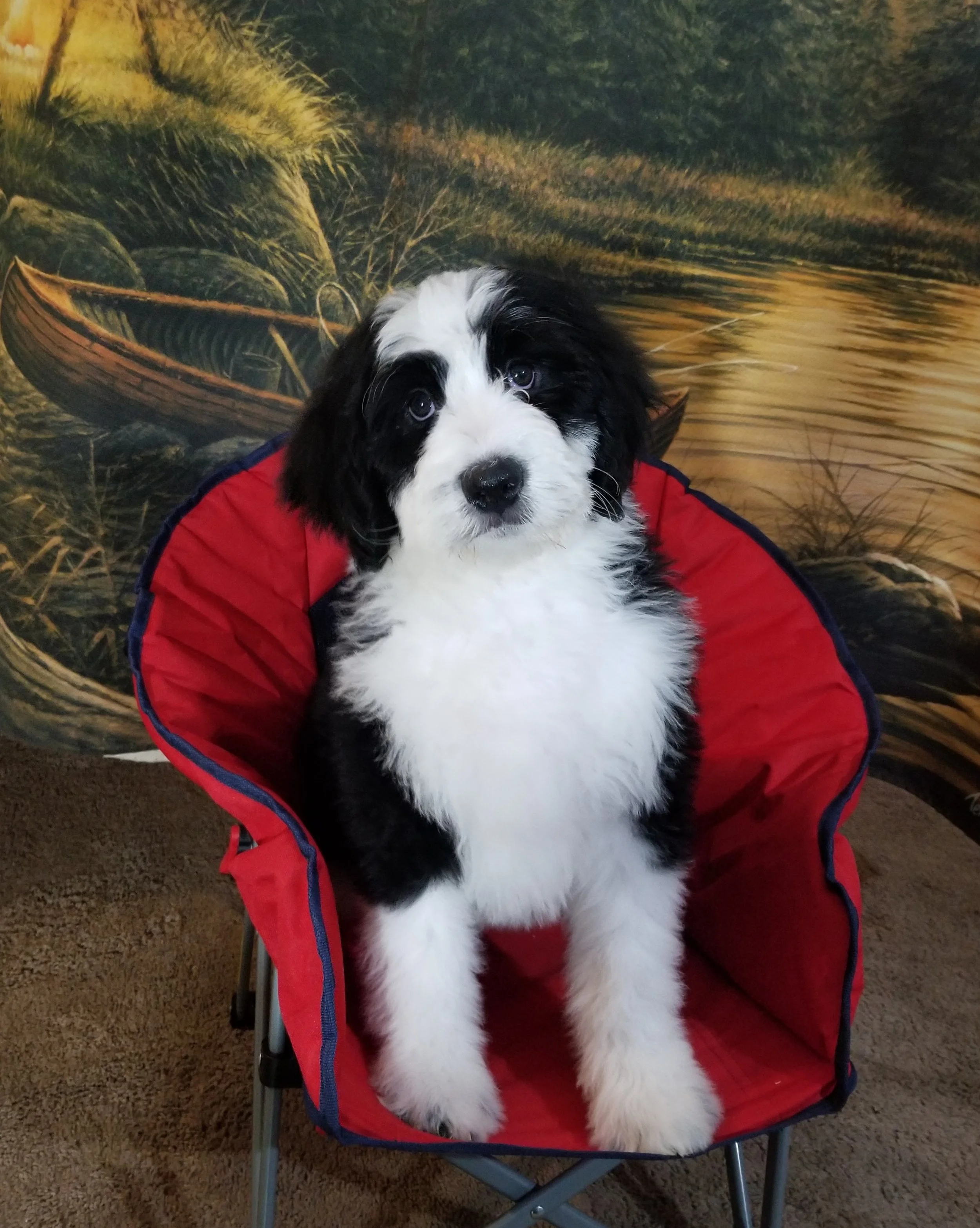 Fae has found her forever family with Robert Jones and family from NewHall CA
