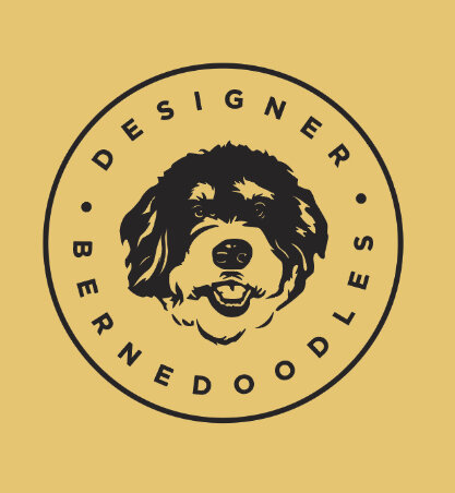 Designer Bernedoodles