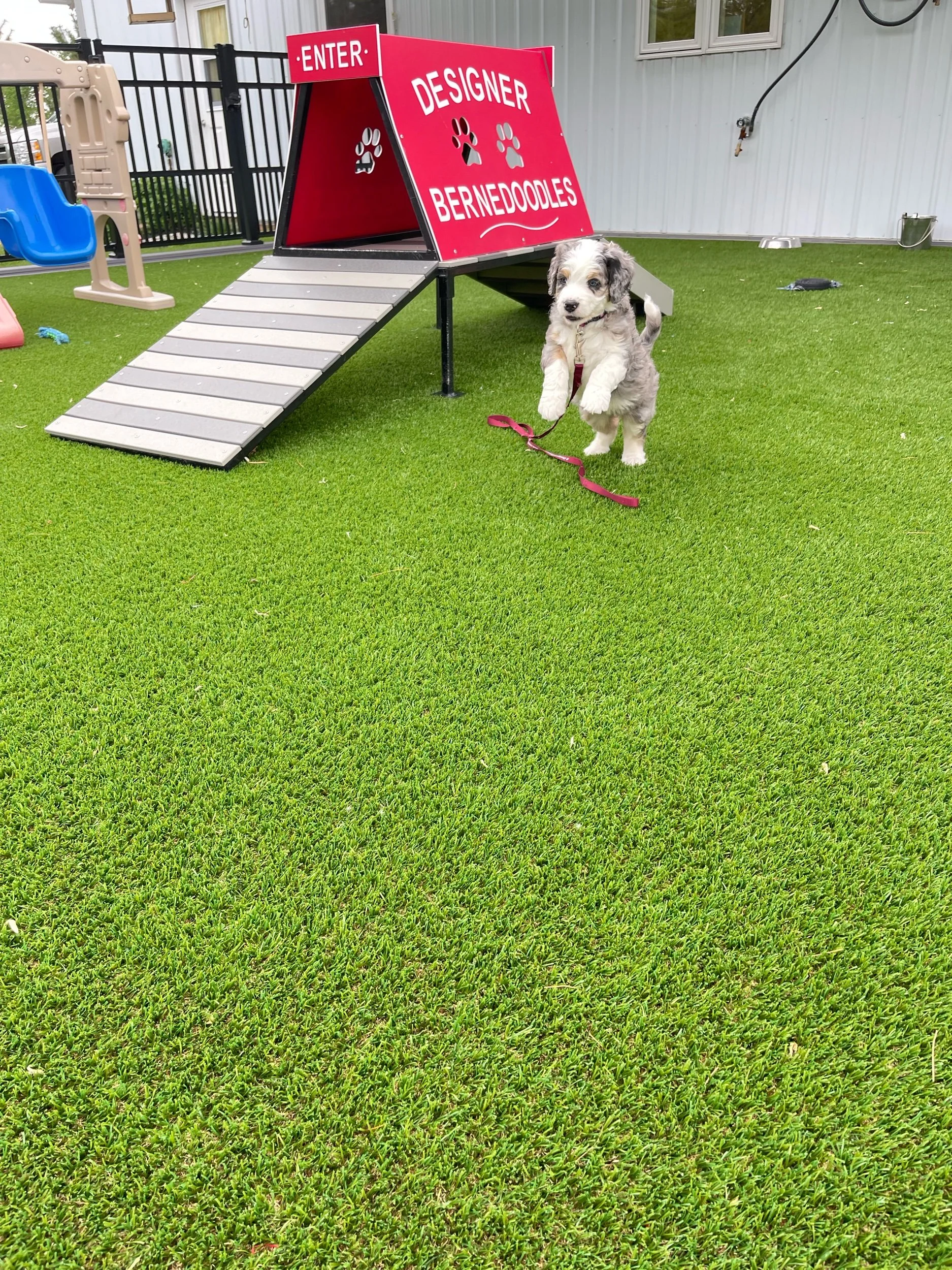 IMG_1964.jpeg