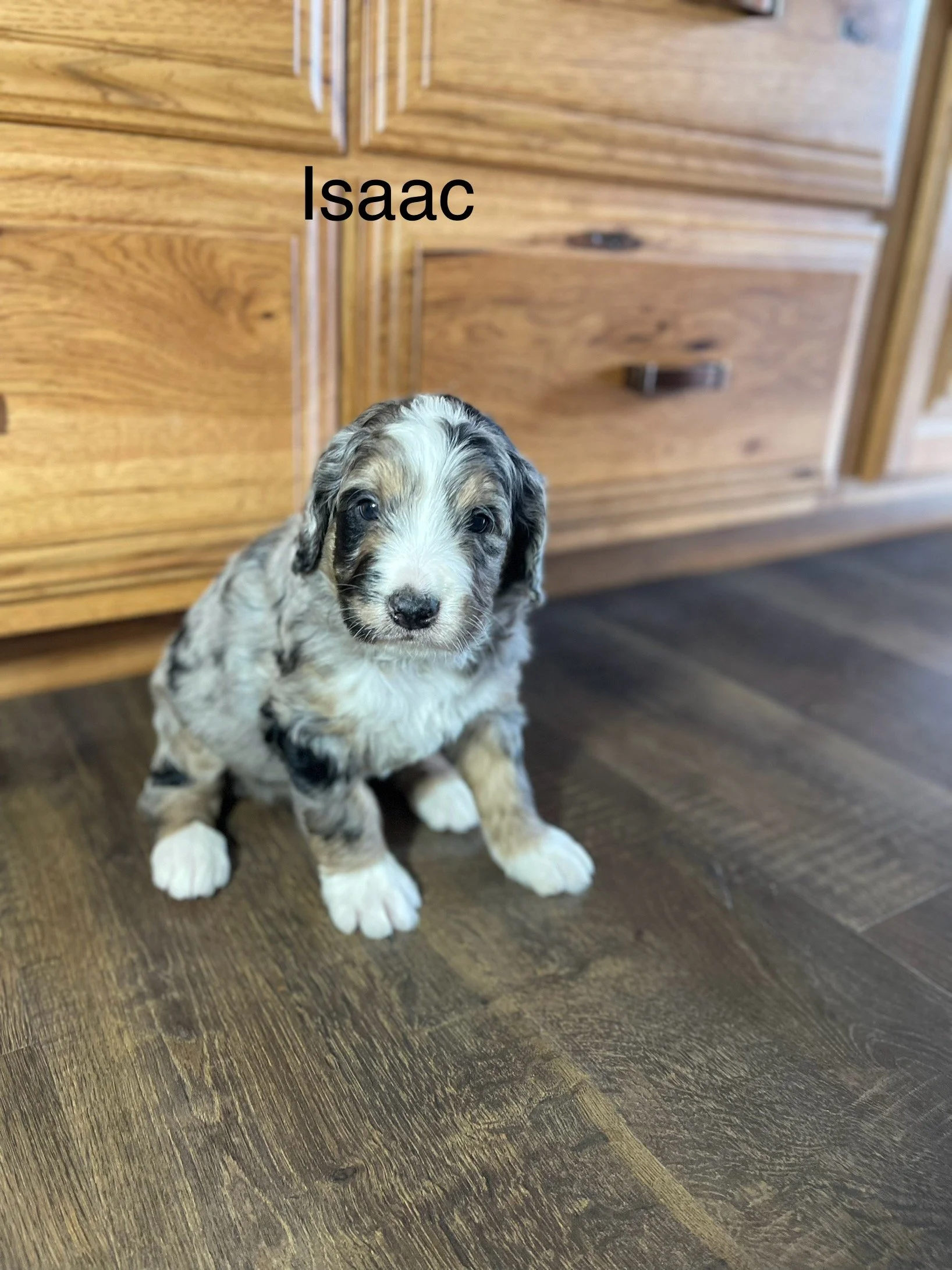 IMG_5631.jpeg