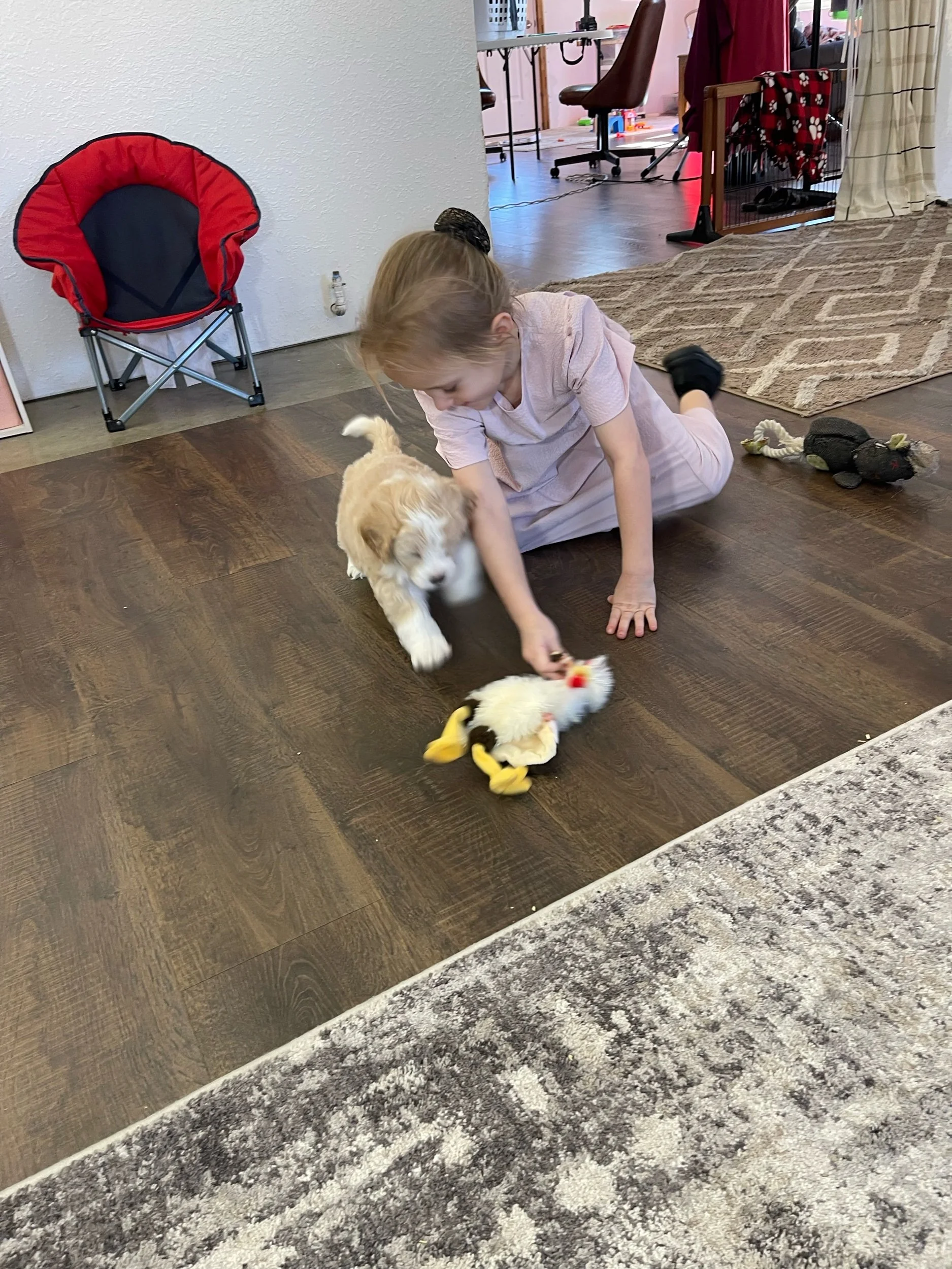 IMG_6195.jpeg
