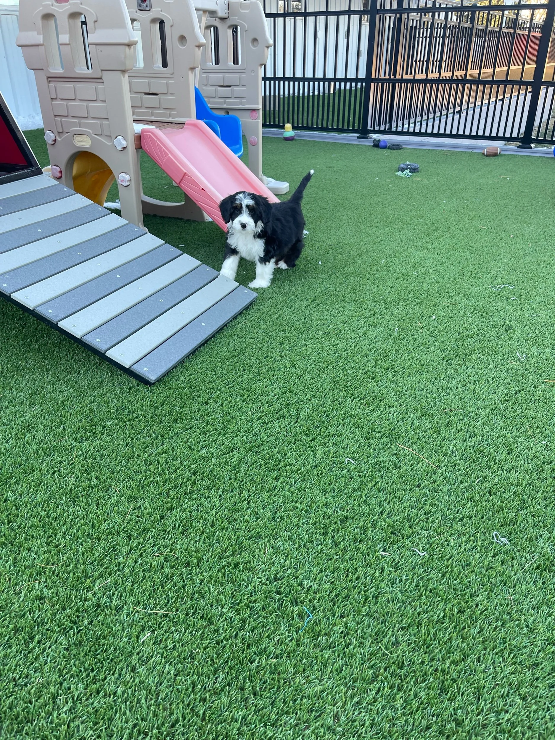 IMG_8610.jpeg