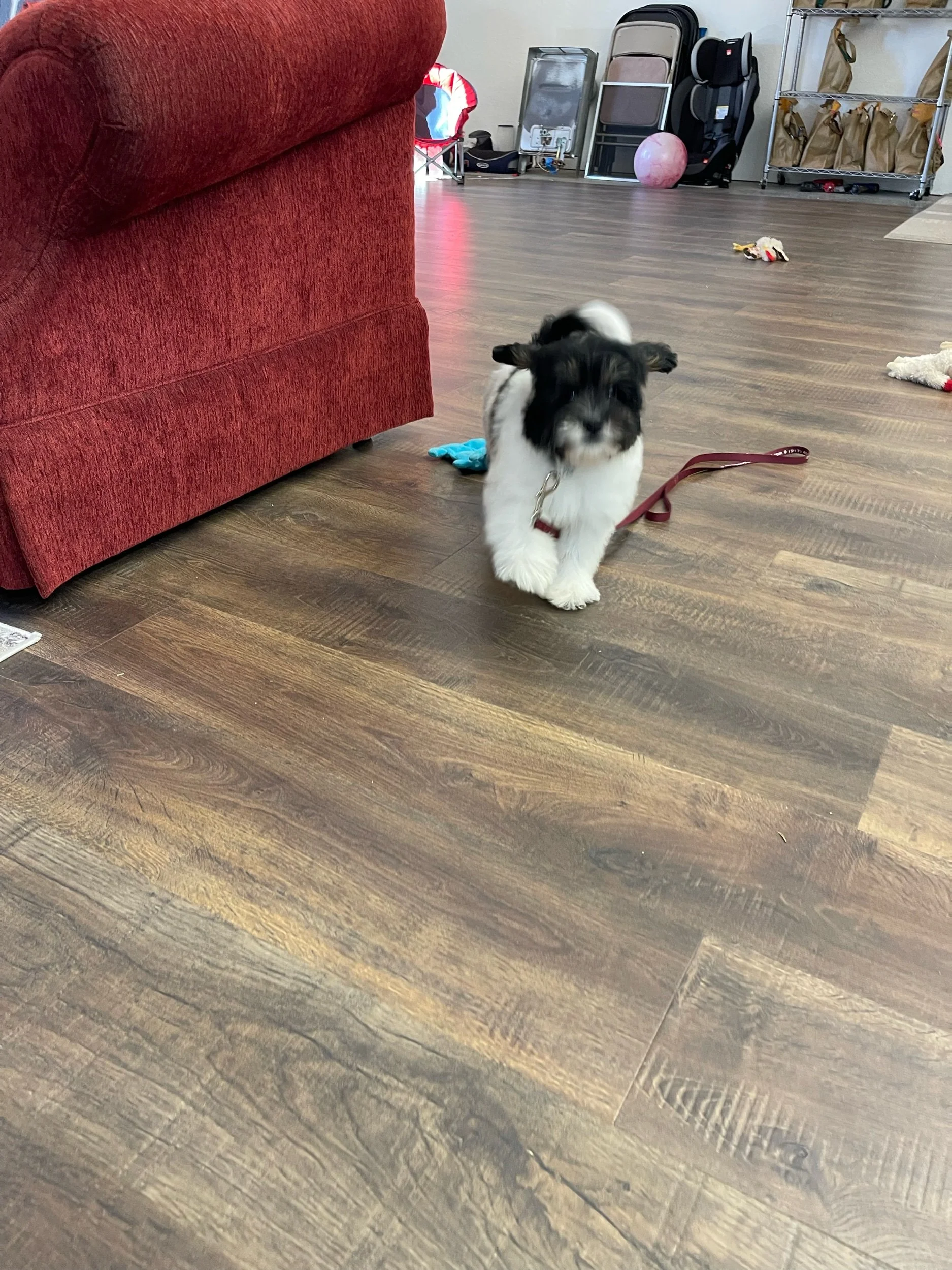 IMG_8910.jpeg