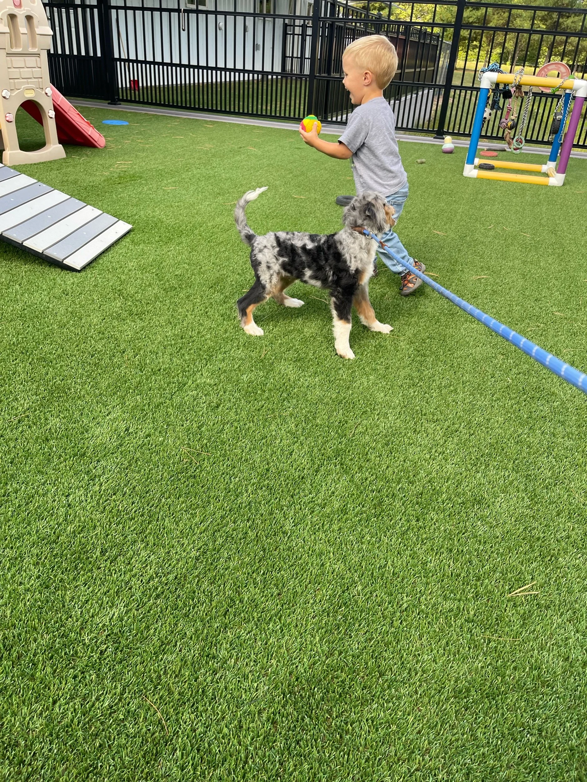 IMG_9602.jpeg