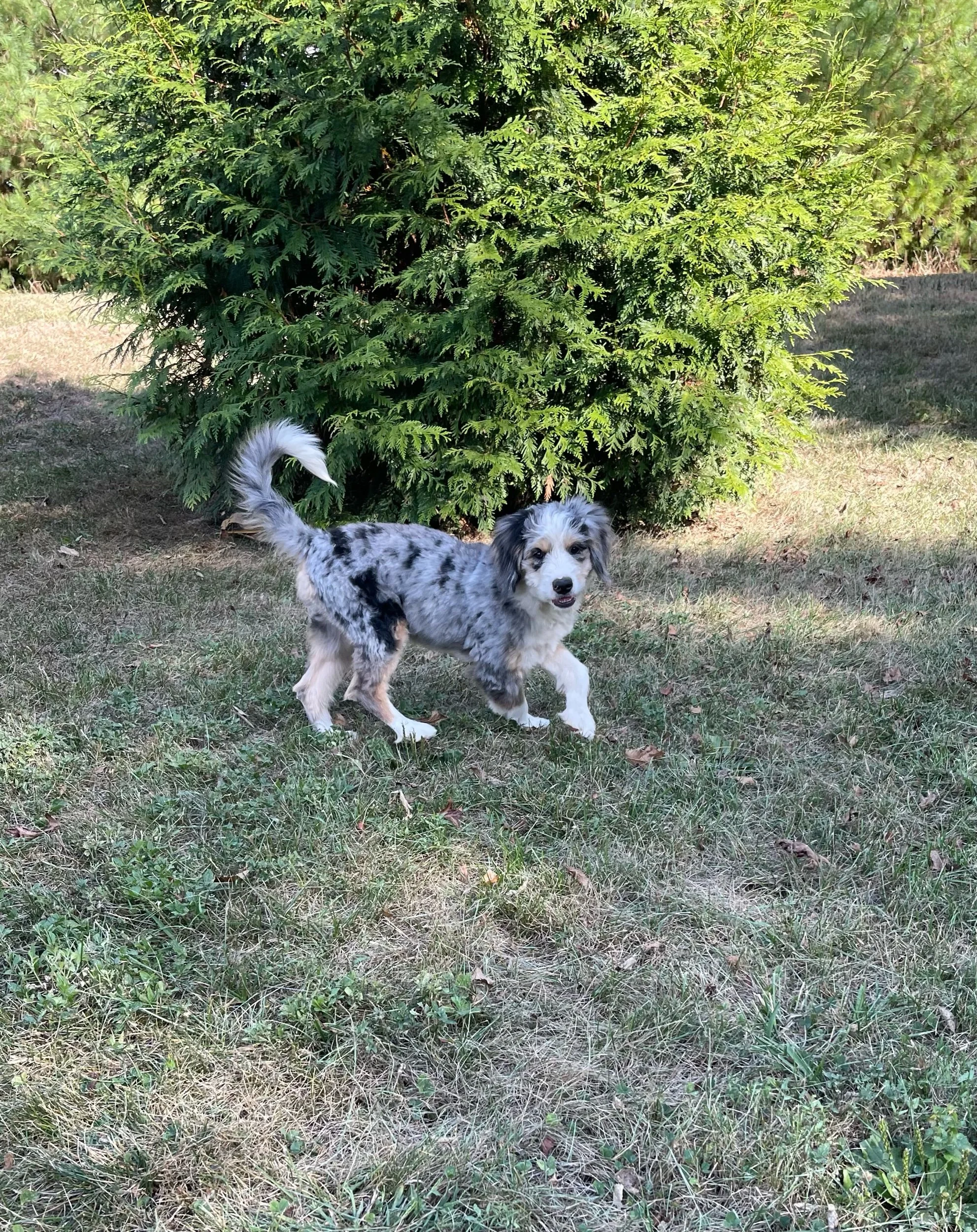 IMG_9955.jpeg