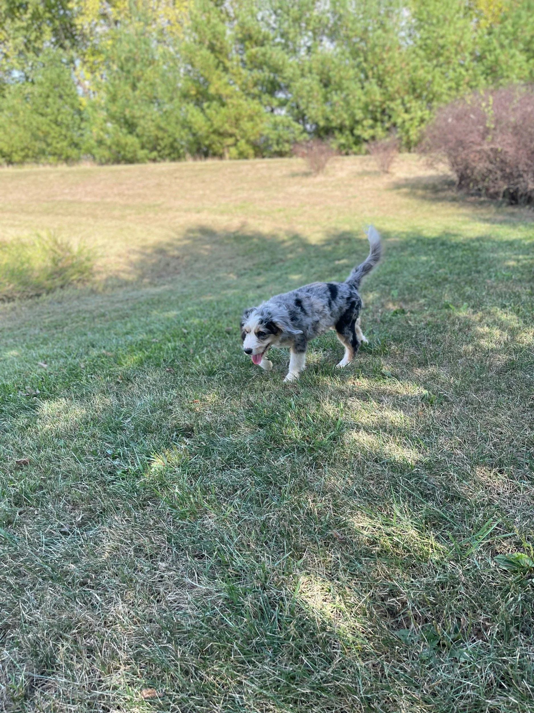 IMG_9947.jpeg