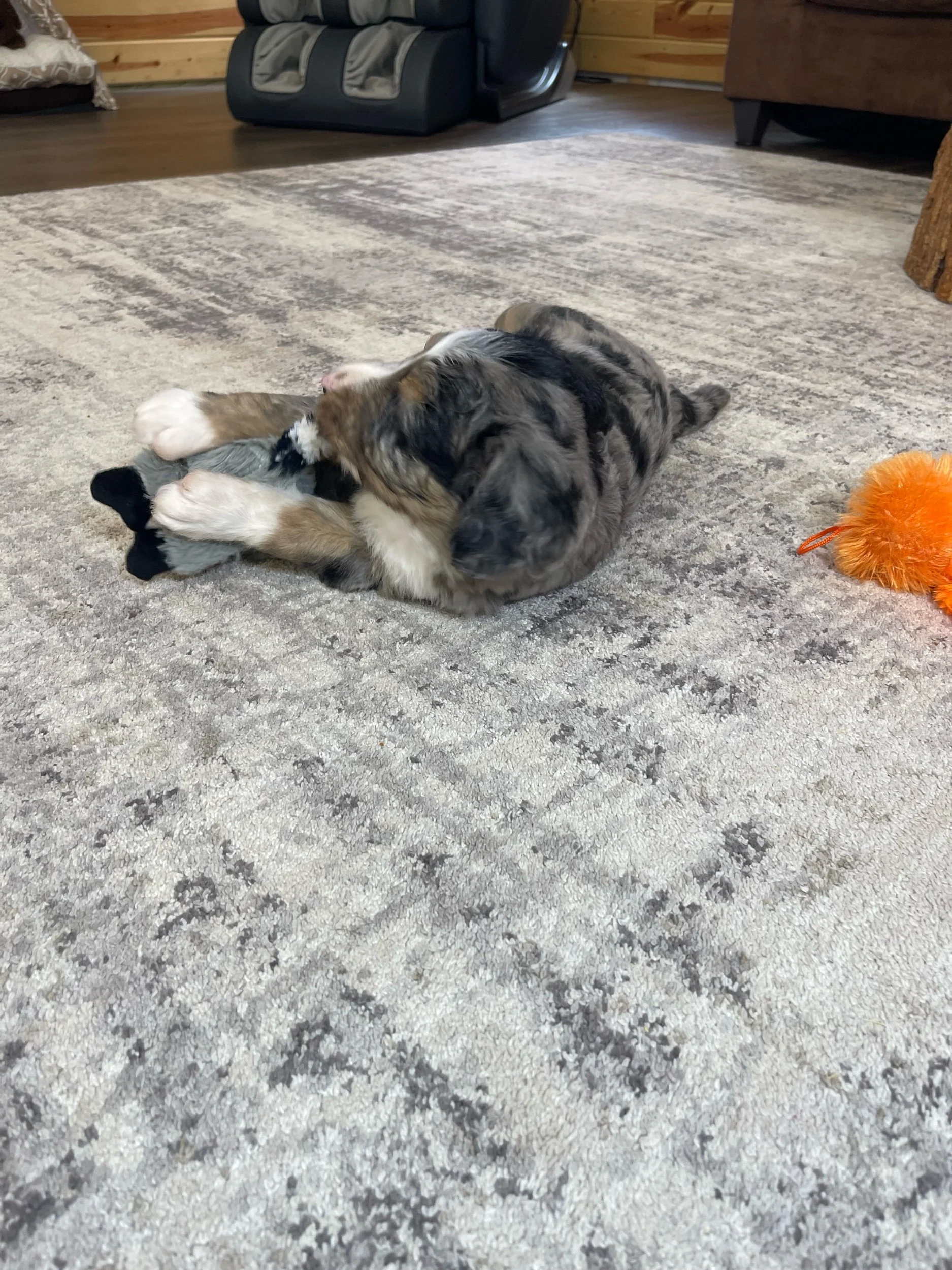 IMG_0930.jpeg