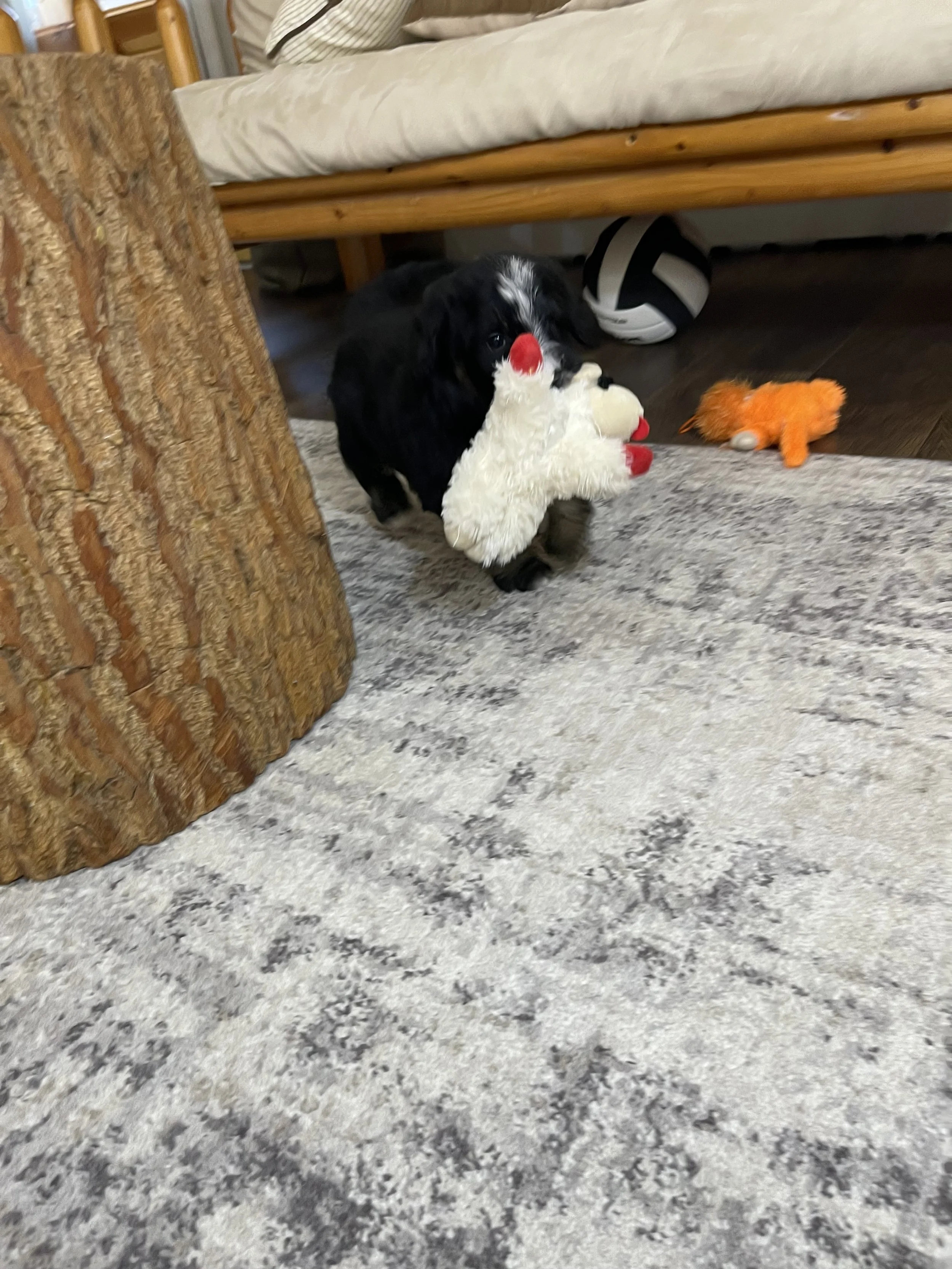 IMG_1759.jpeg